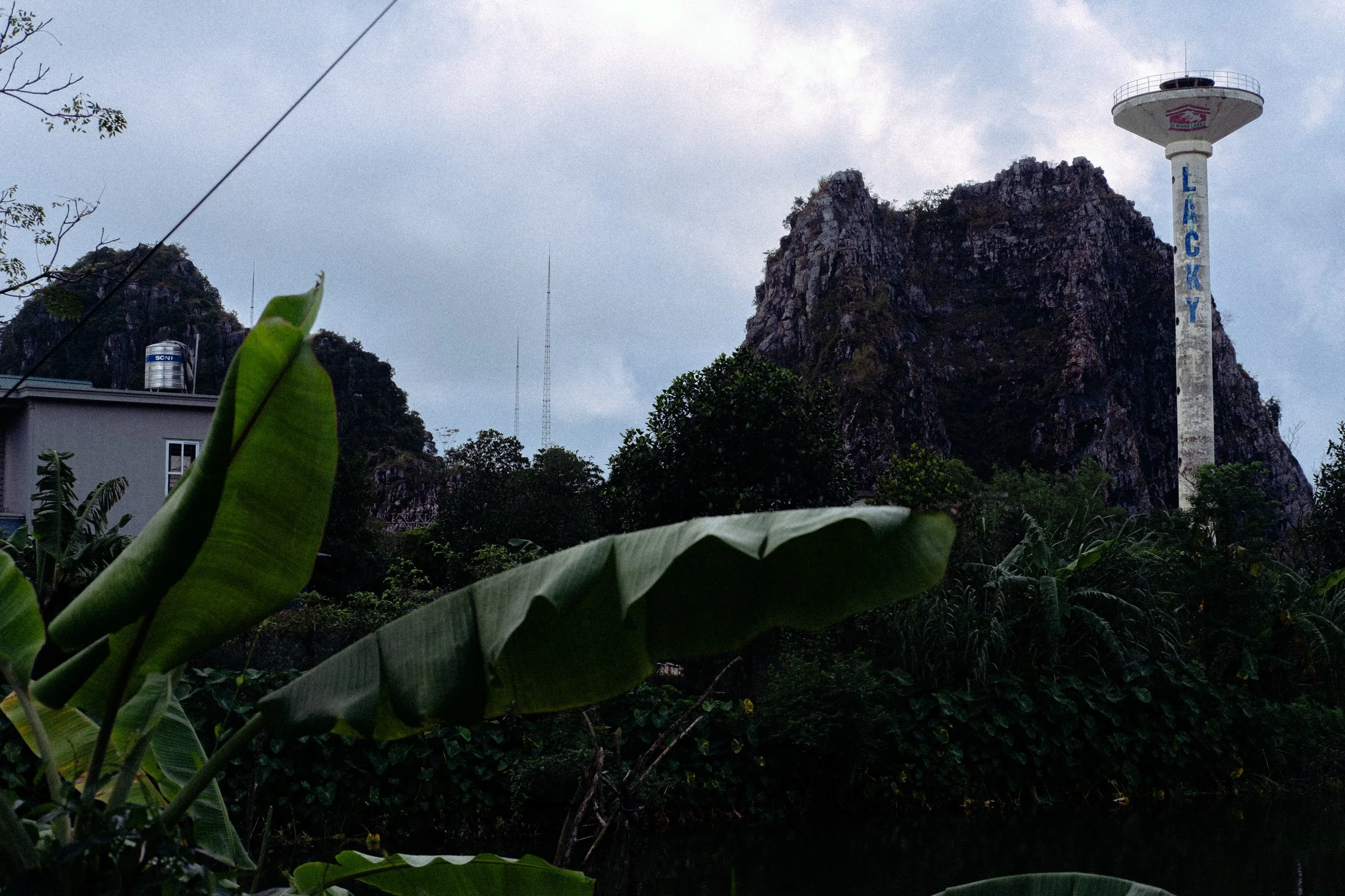 DSCF7787.jpg