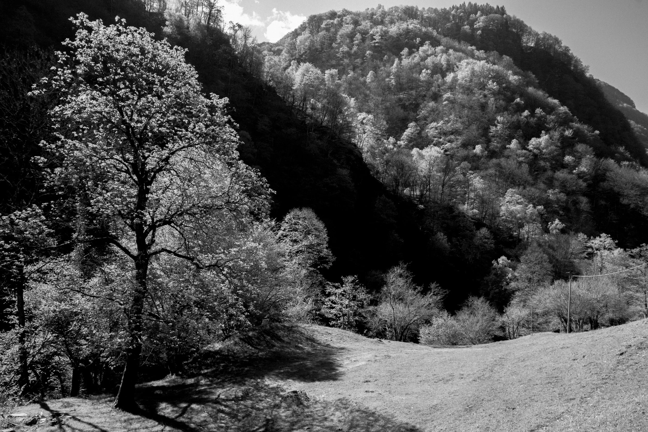 DSCF9529.jpg