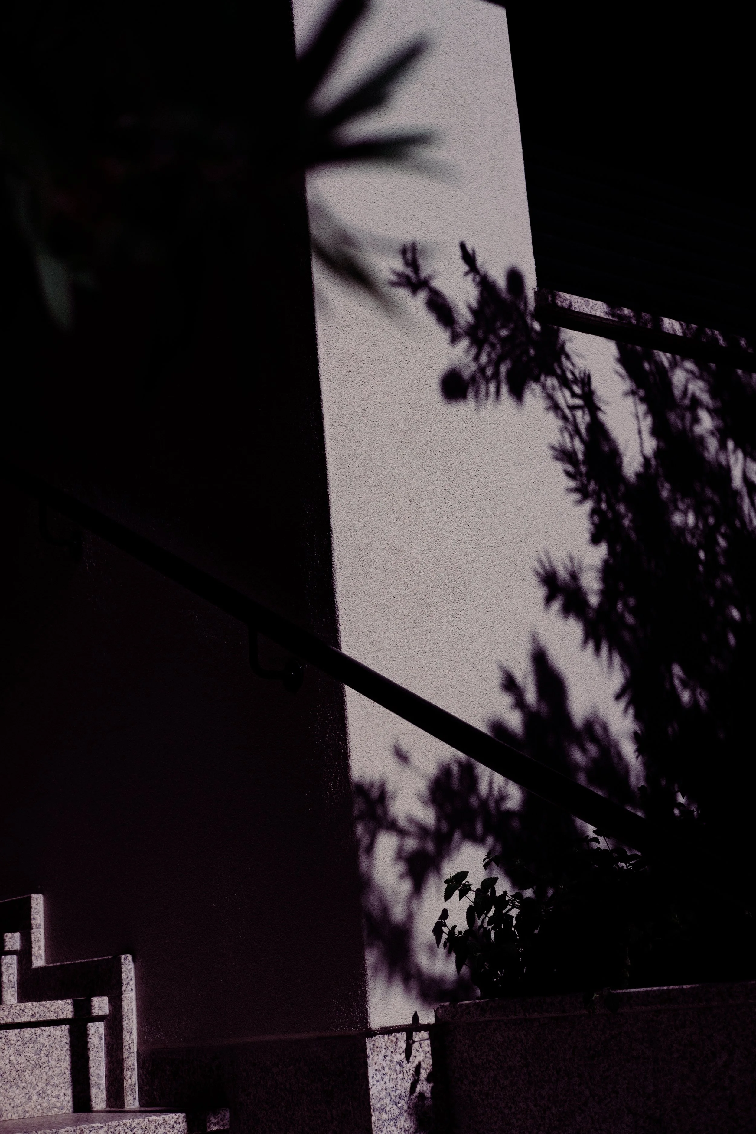 DSCF6106.jpg