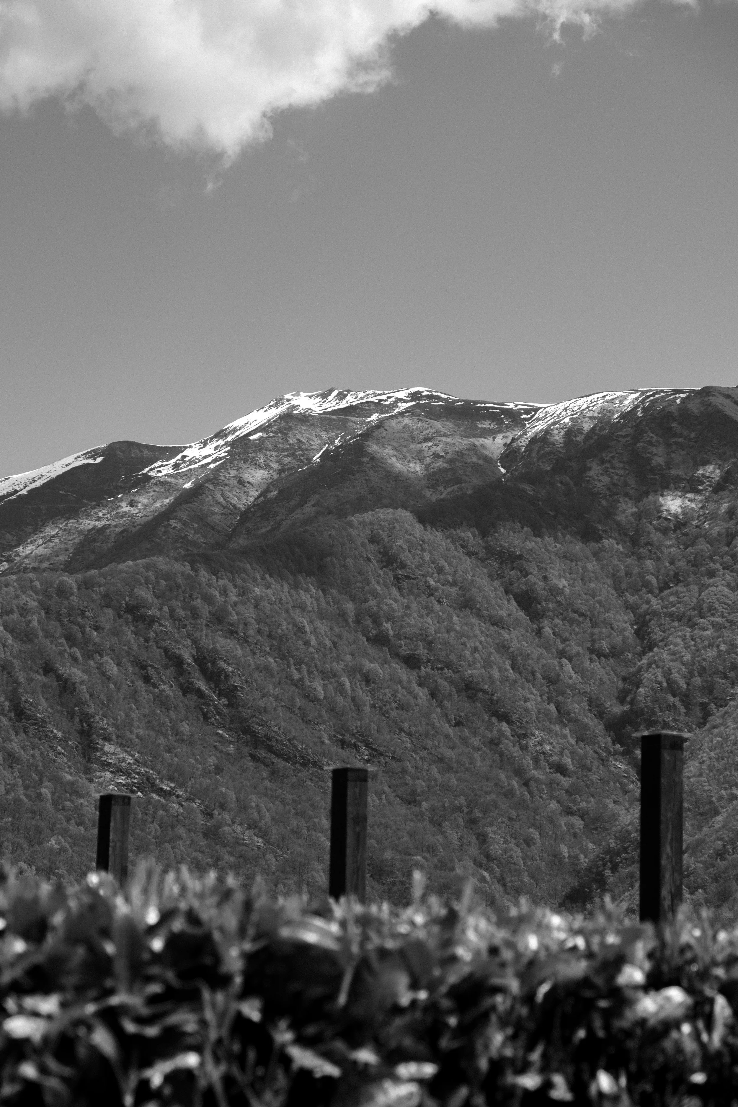 DSCF0072.jpg