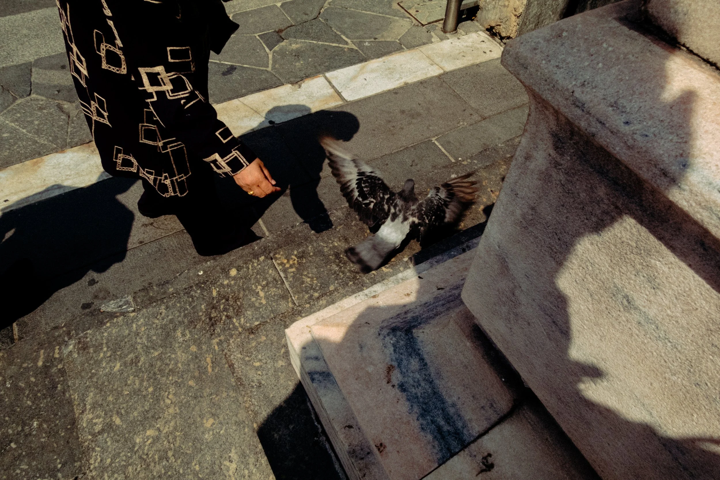 DSC01396.jpg