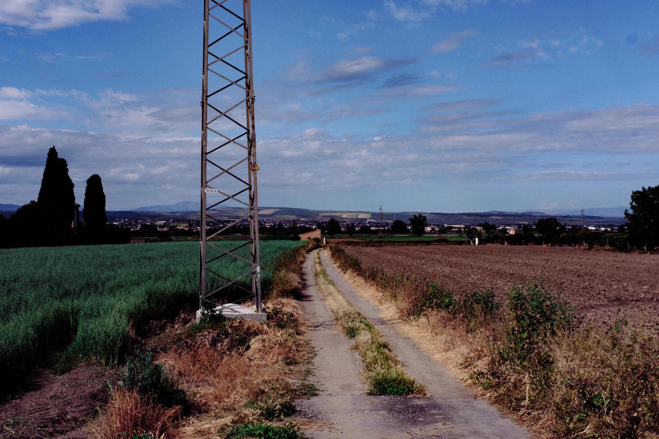 DSCF6556.jpg