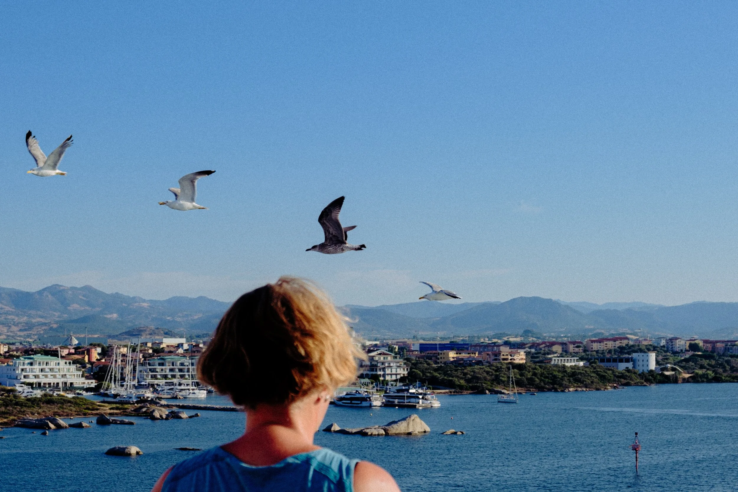 DSCF7518.jpg