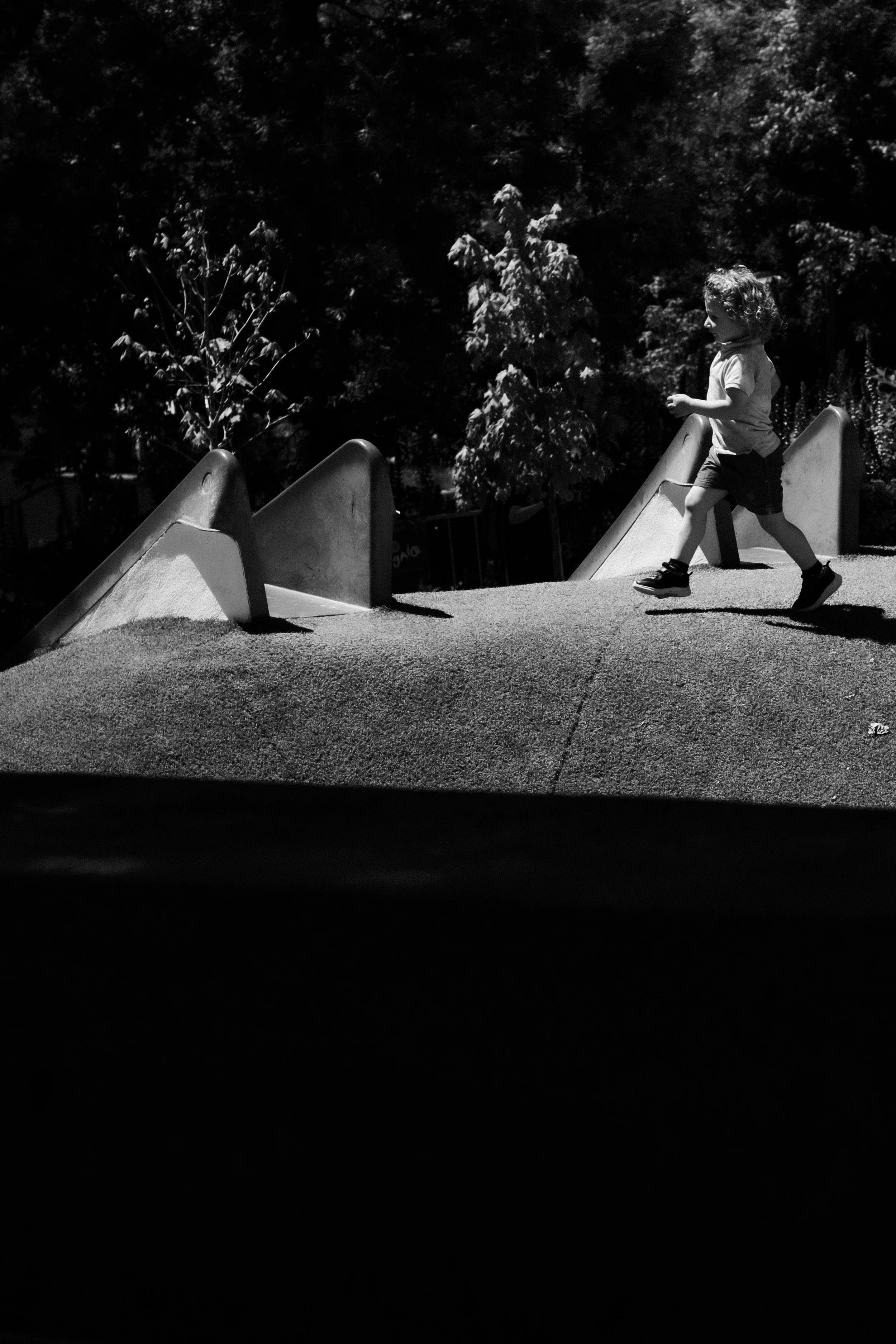 DSCF7386.jpg