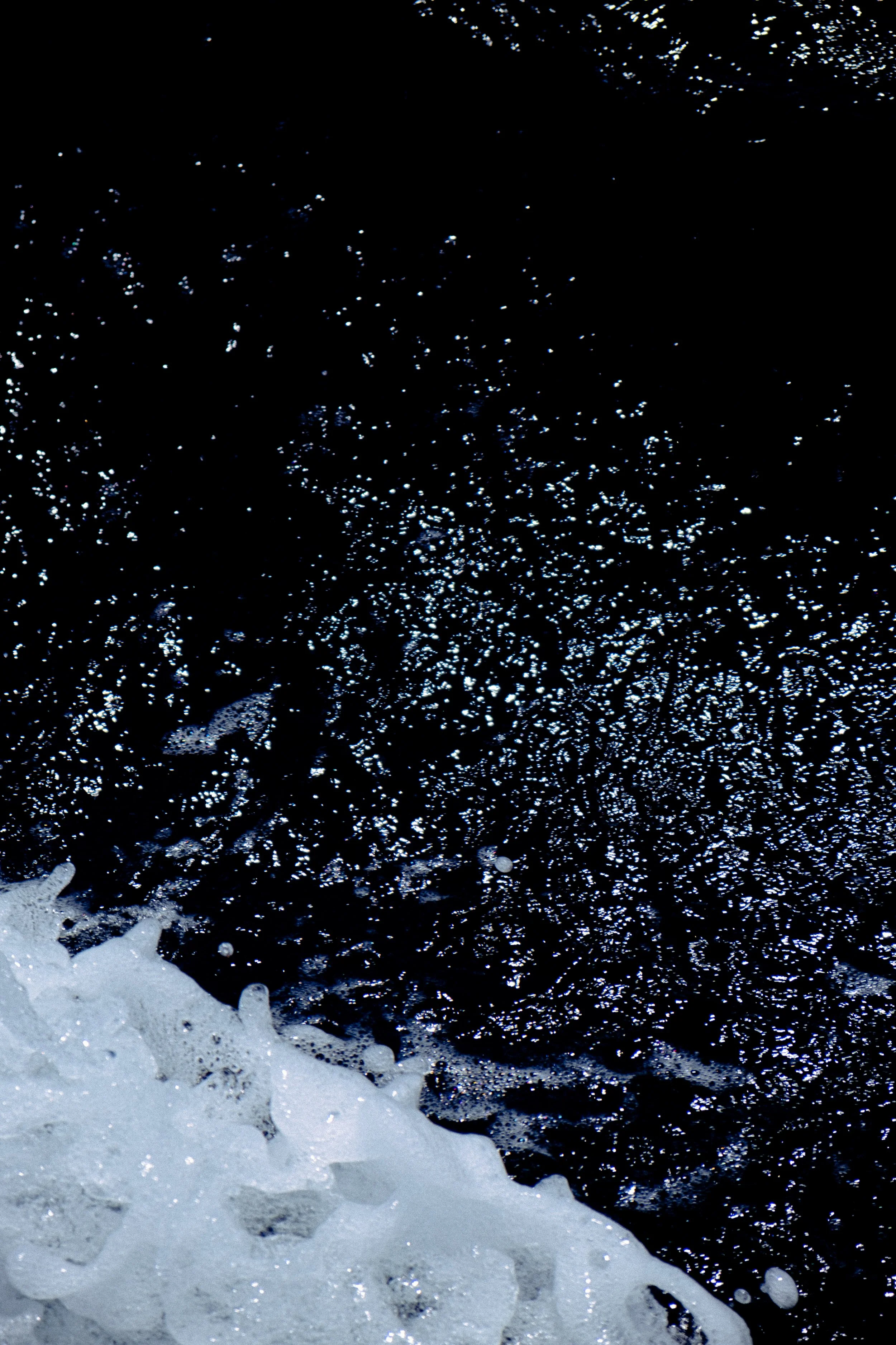 DSCF6476.jpg