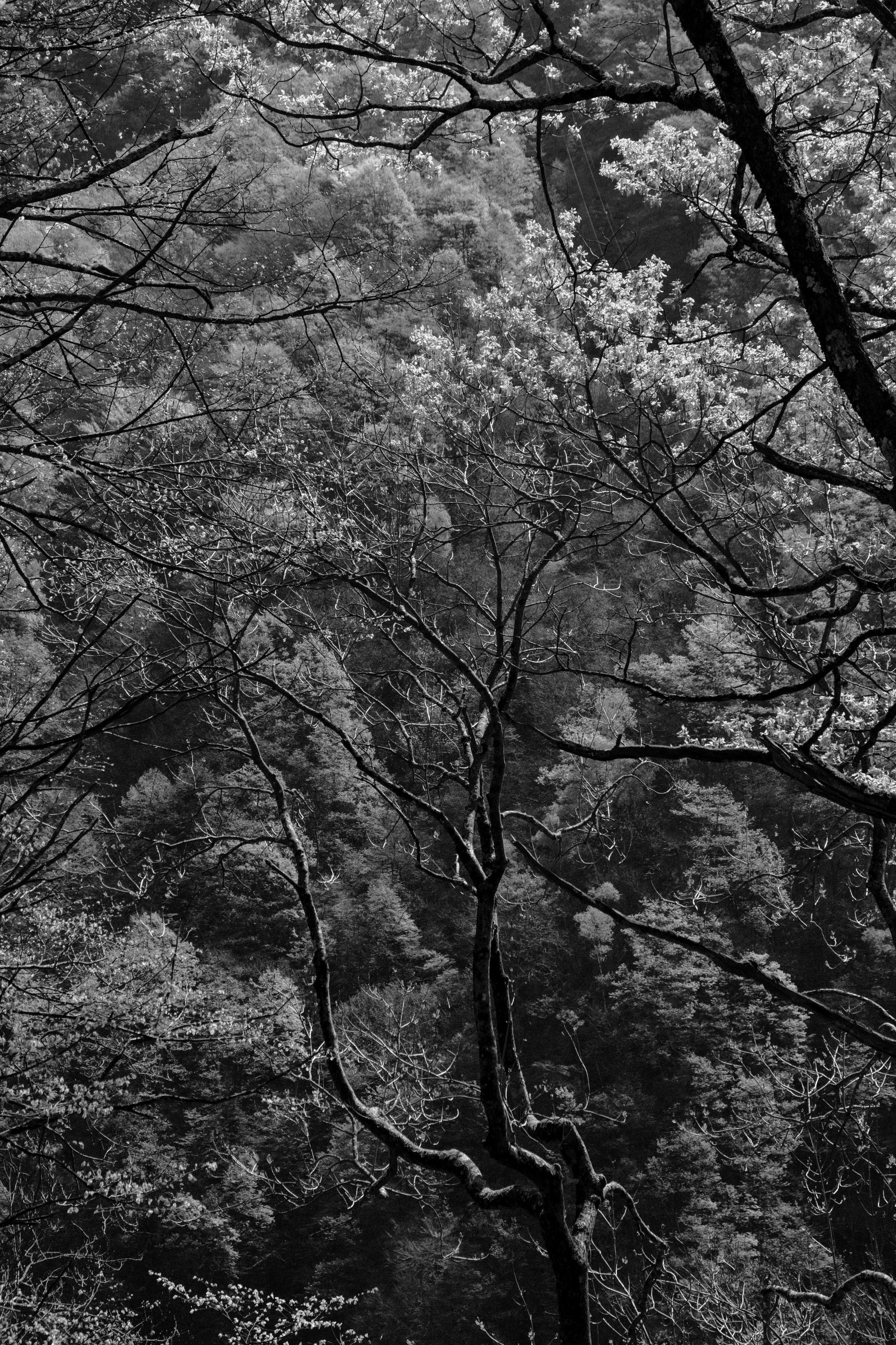 DSCF9690.jpg