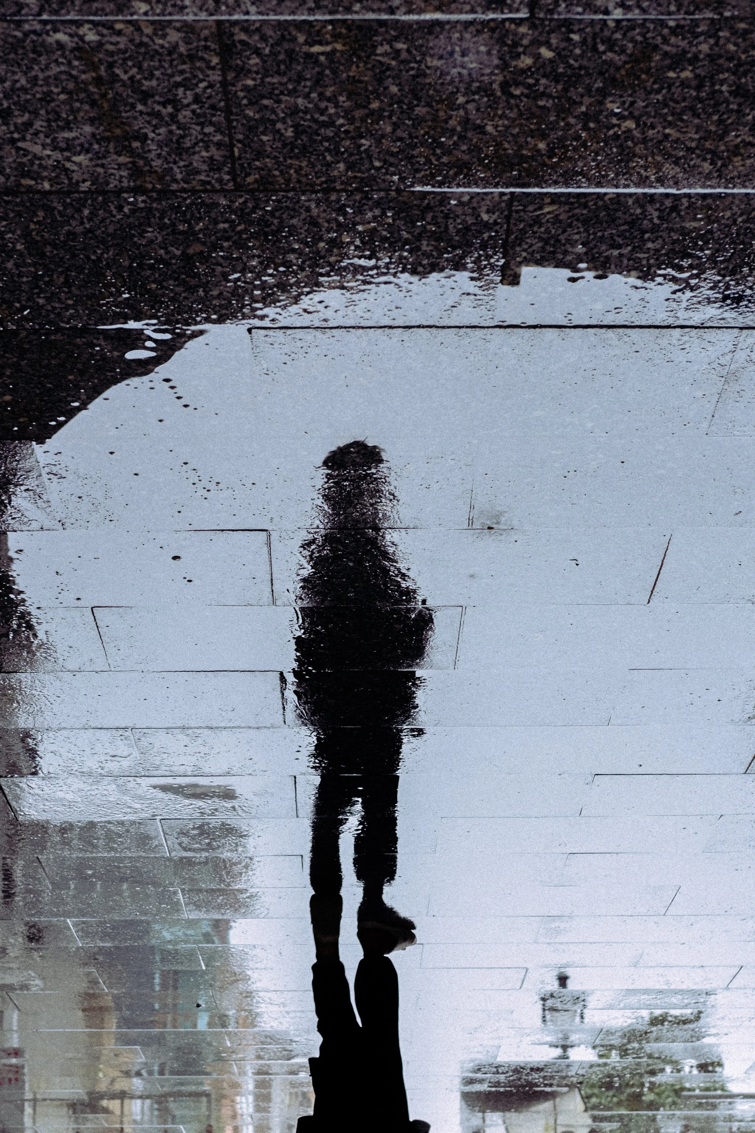 DSCF8925.jpg