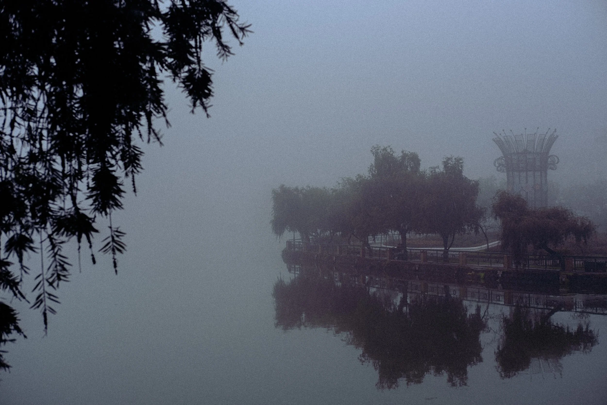 DSCF9088.jpg