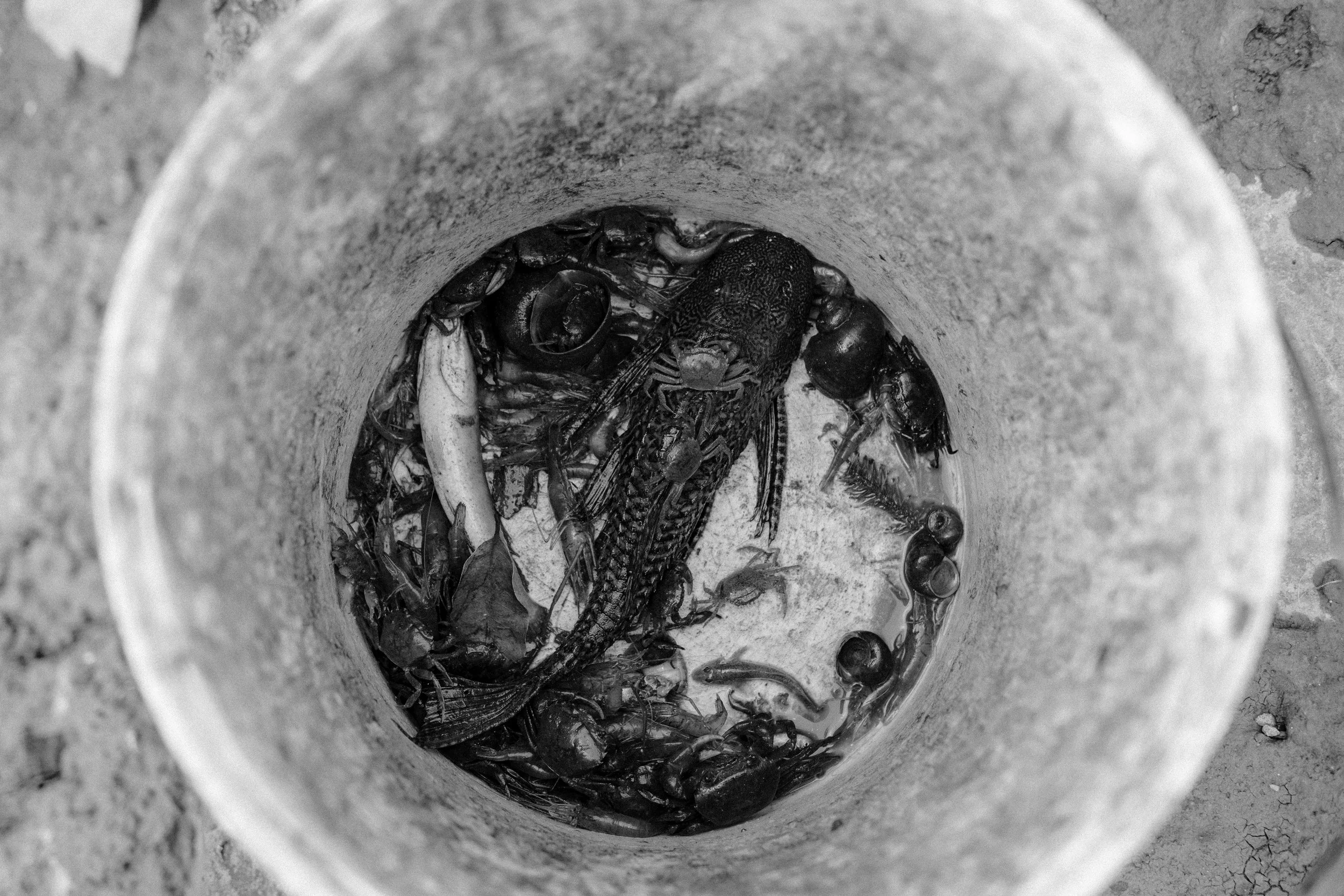 DSCF7611.jpg