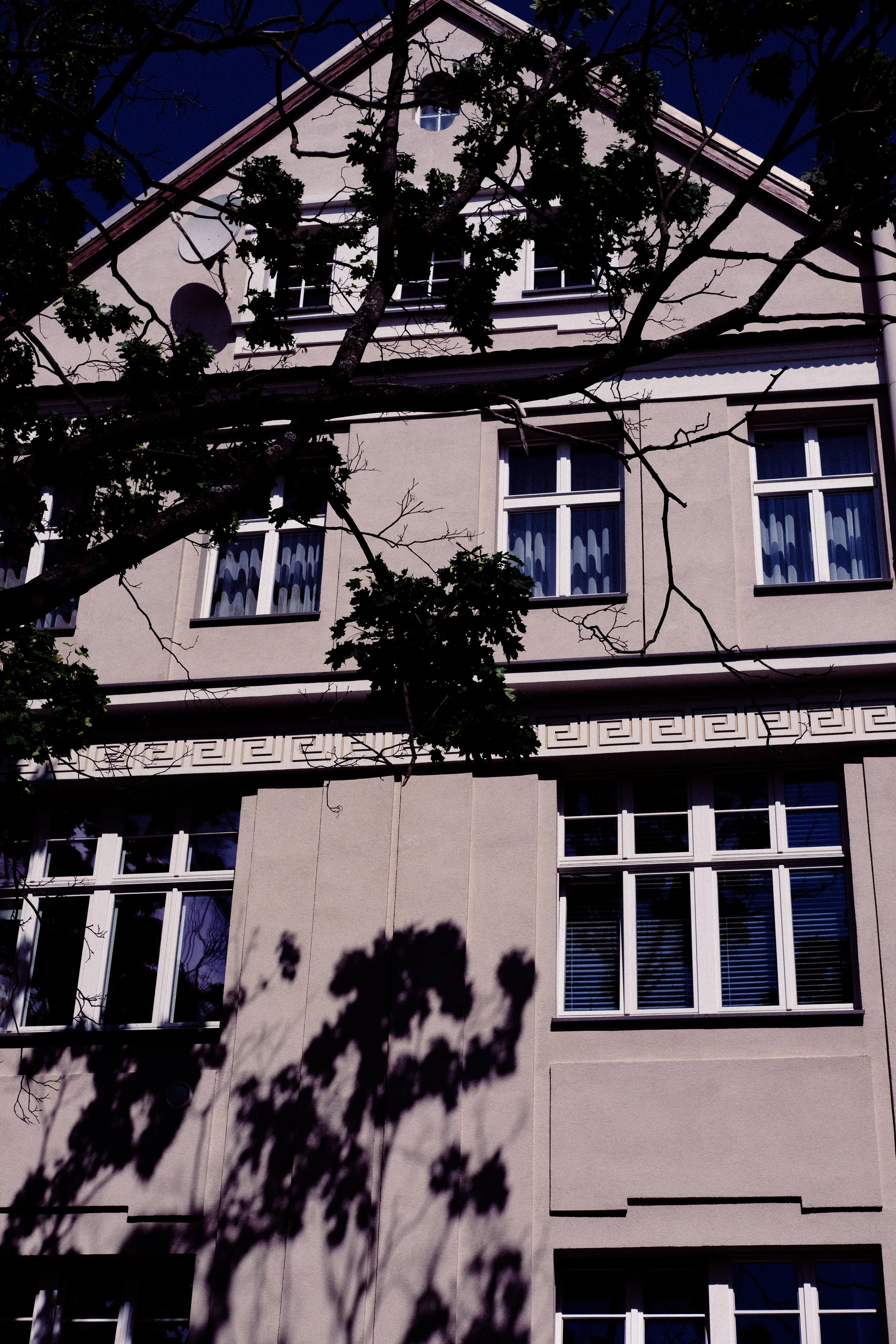 DSCF3680.jpg