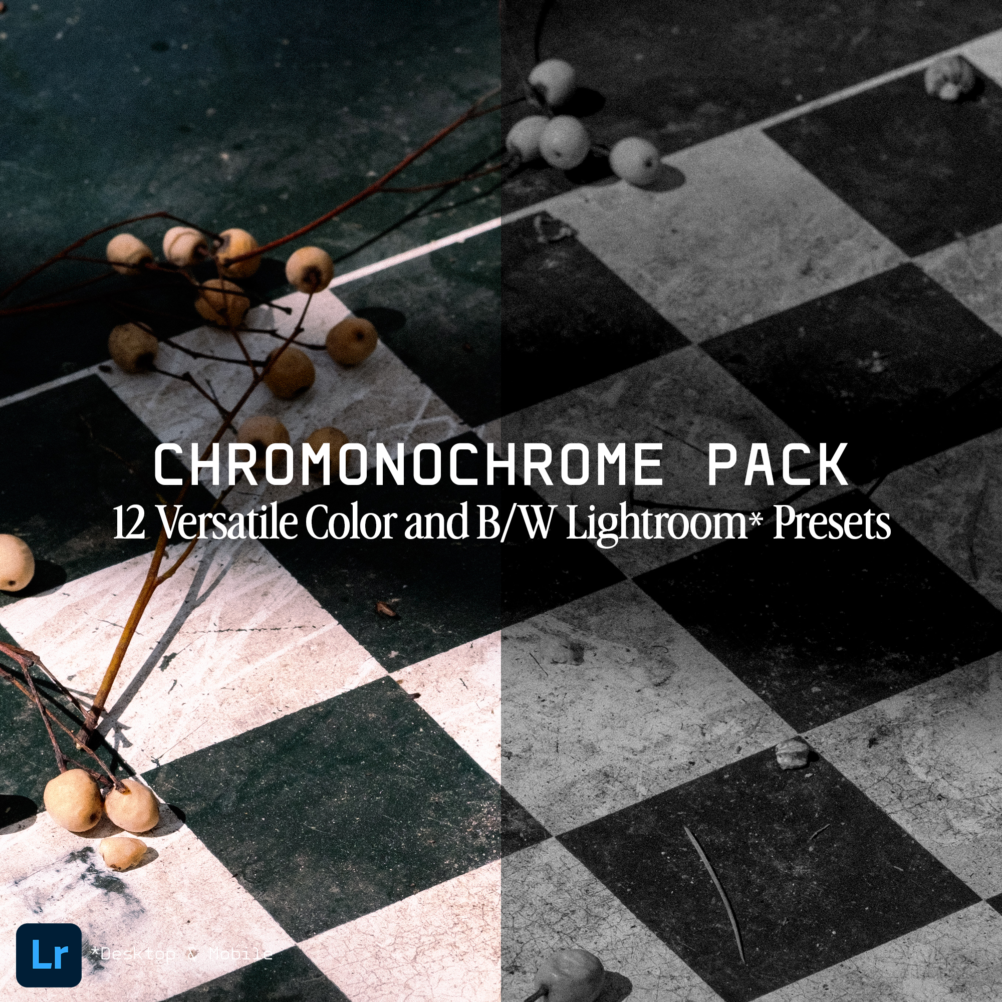 Chromonochrome Pack / 12 Color & Black and White Lightroom Preset Pack
