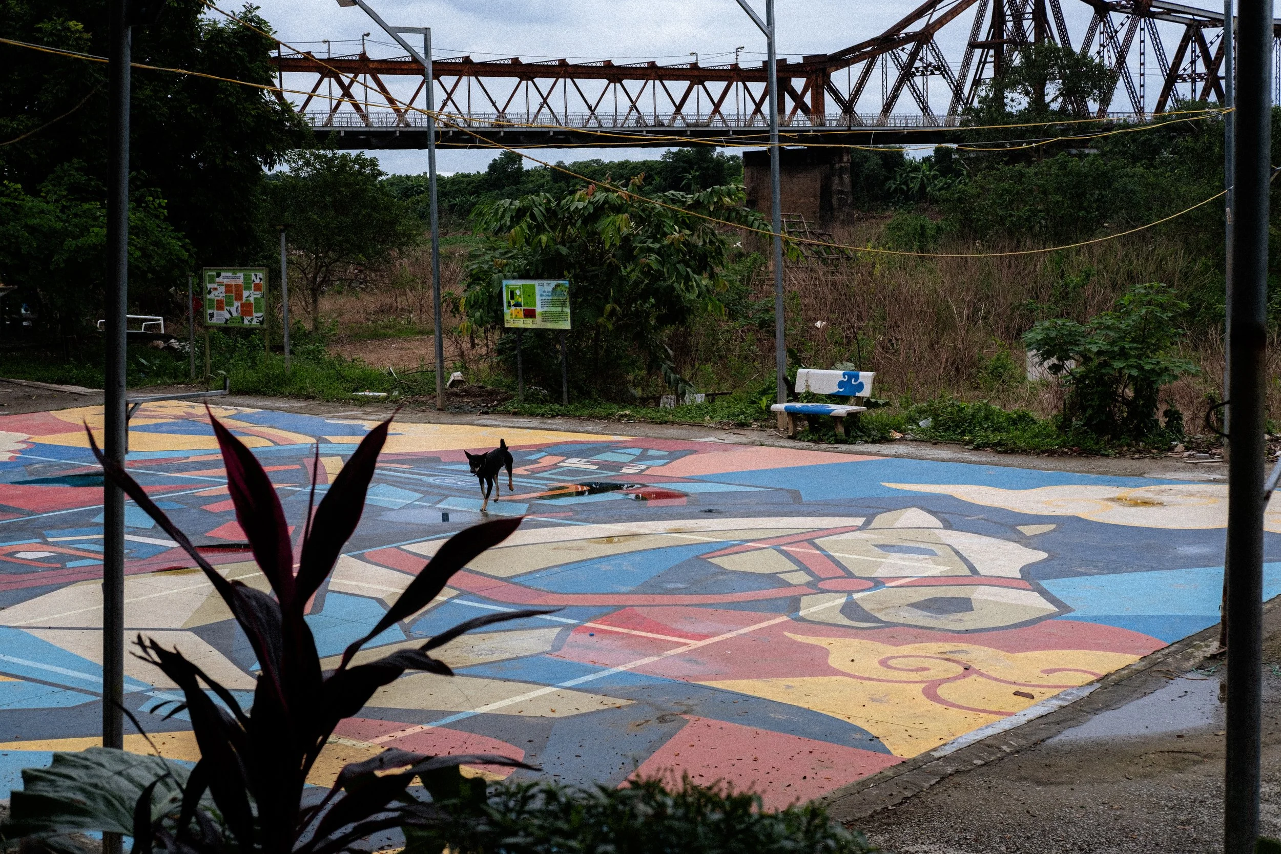 DSCF4025.jpg