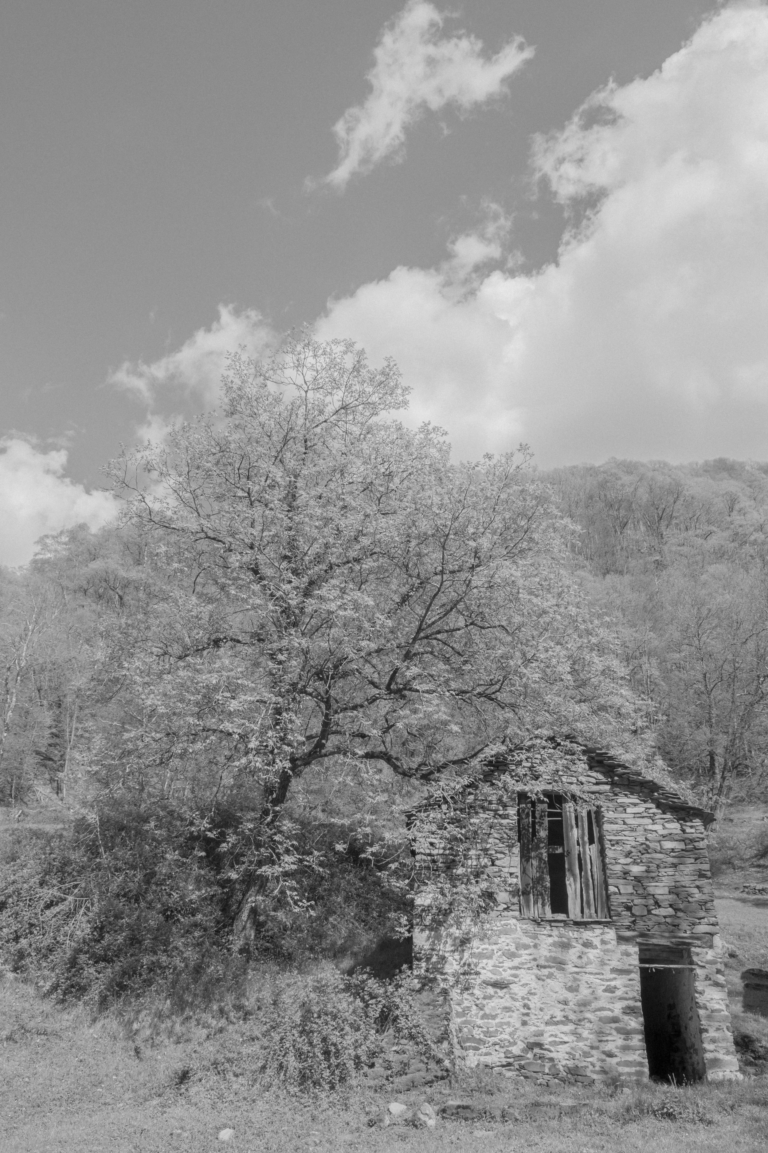 DSCF0287.jpg