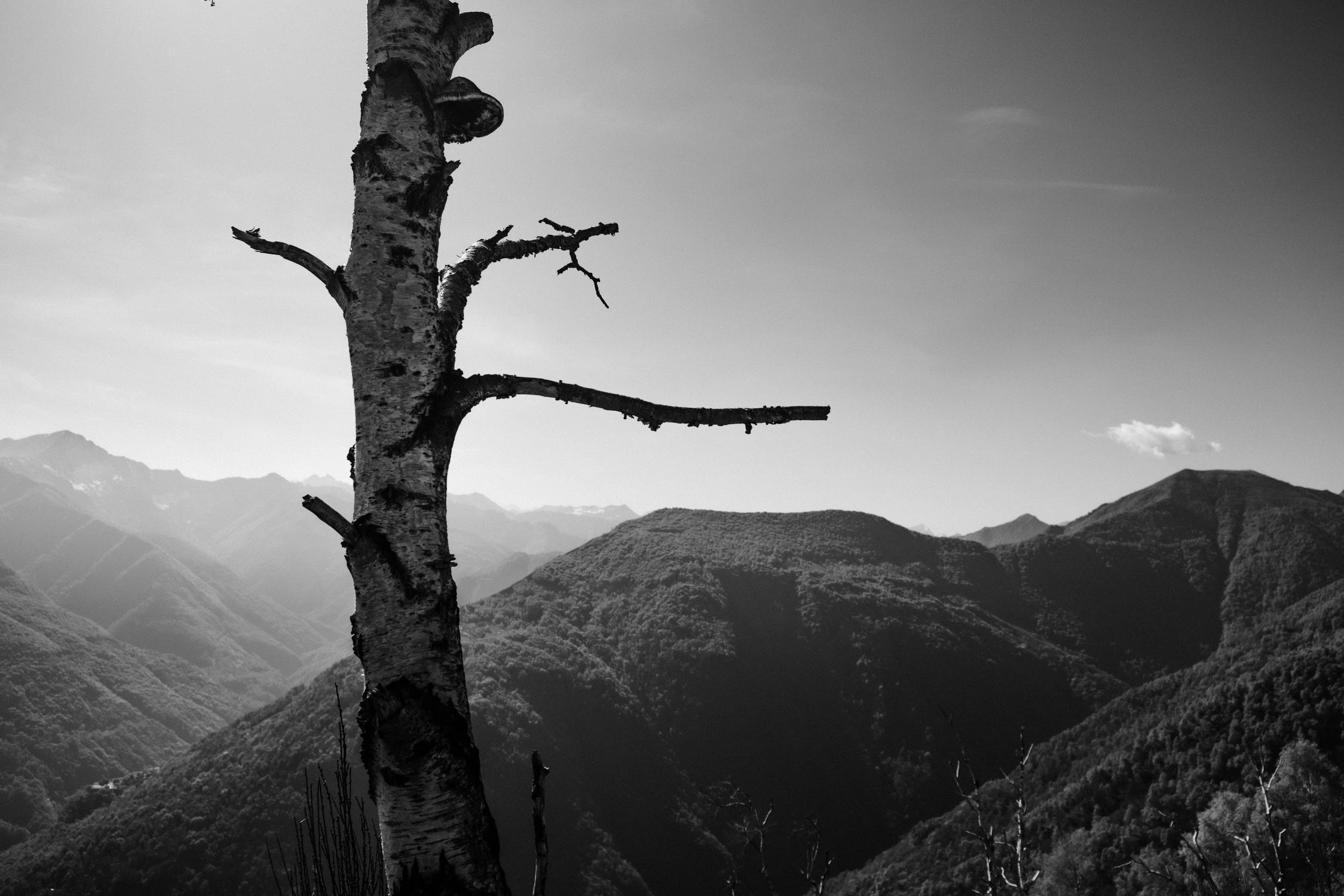 DSCF1093.jpg