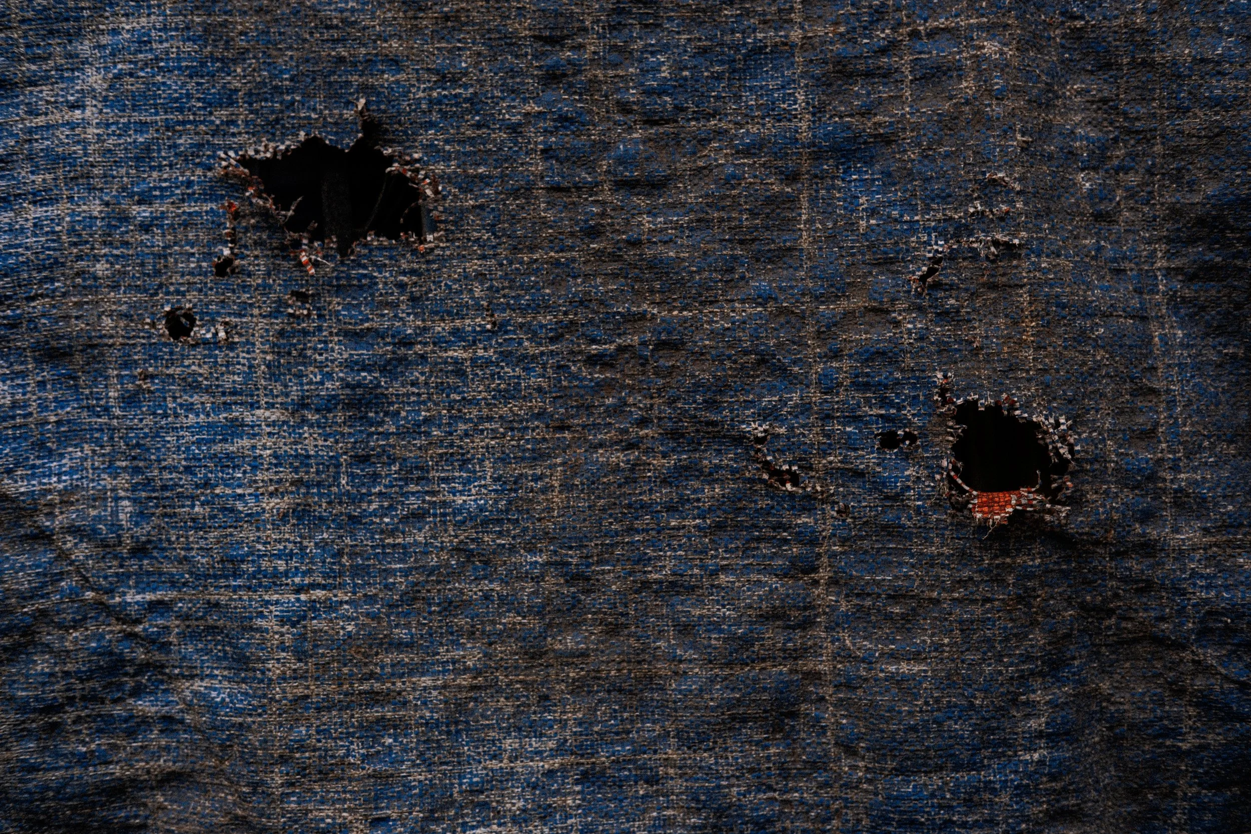 DSCF8542.jpg