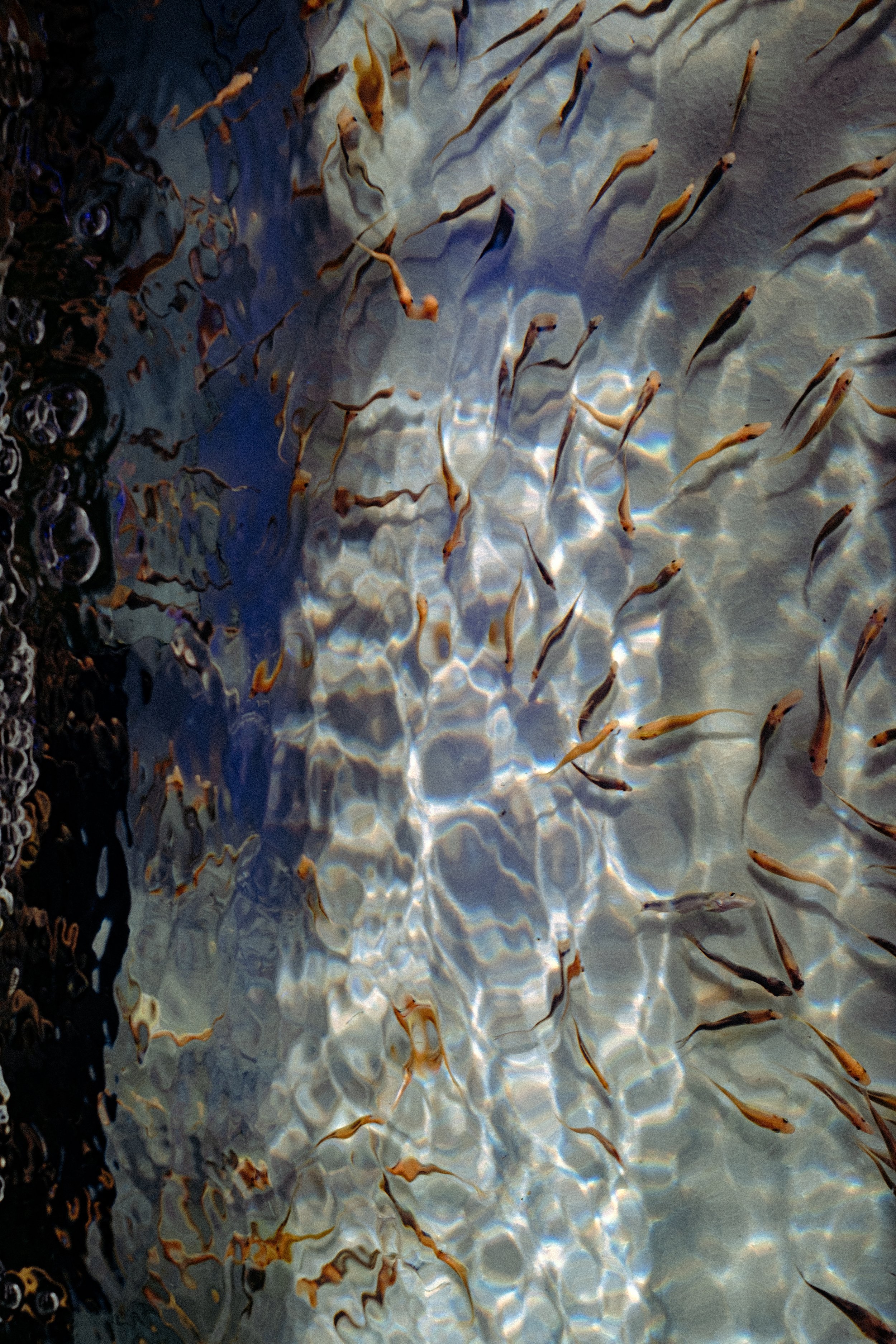 DSCF5051.jpg