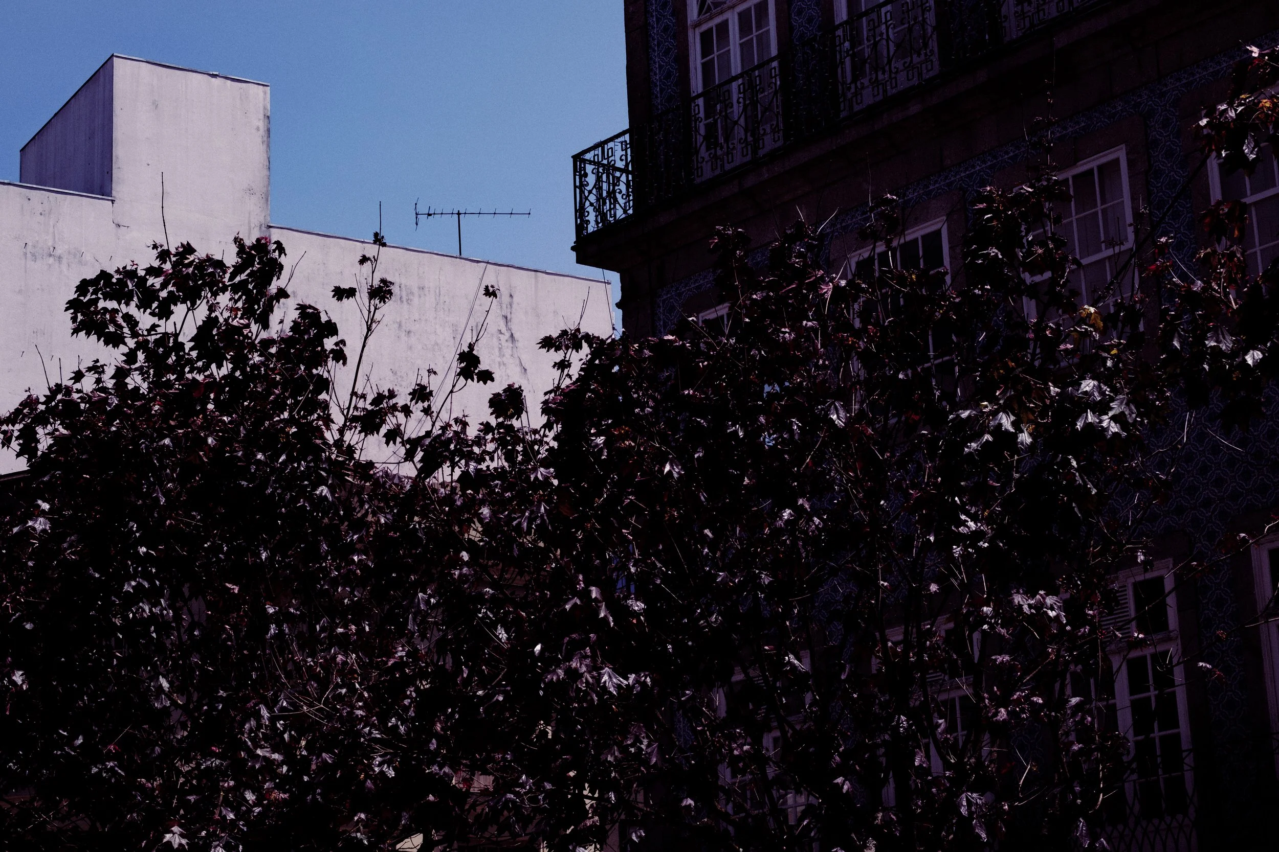 DSCF5671.jpg