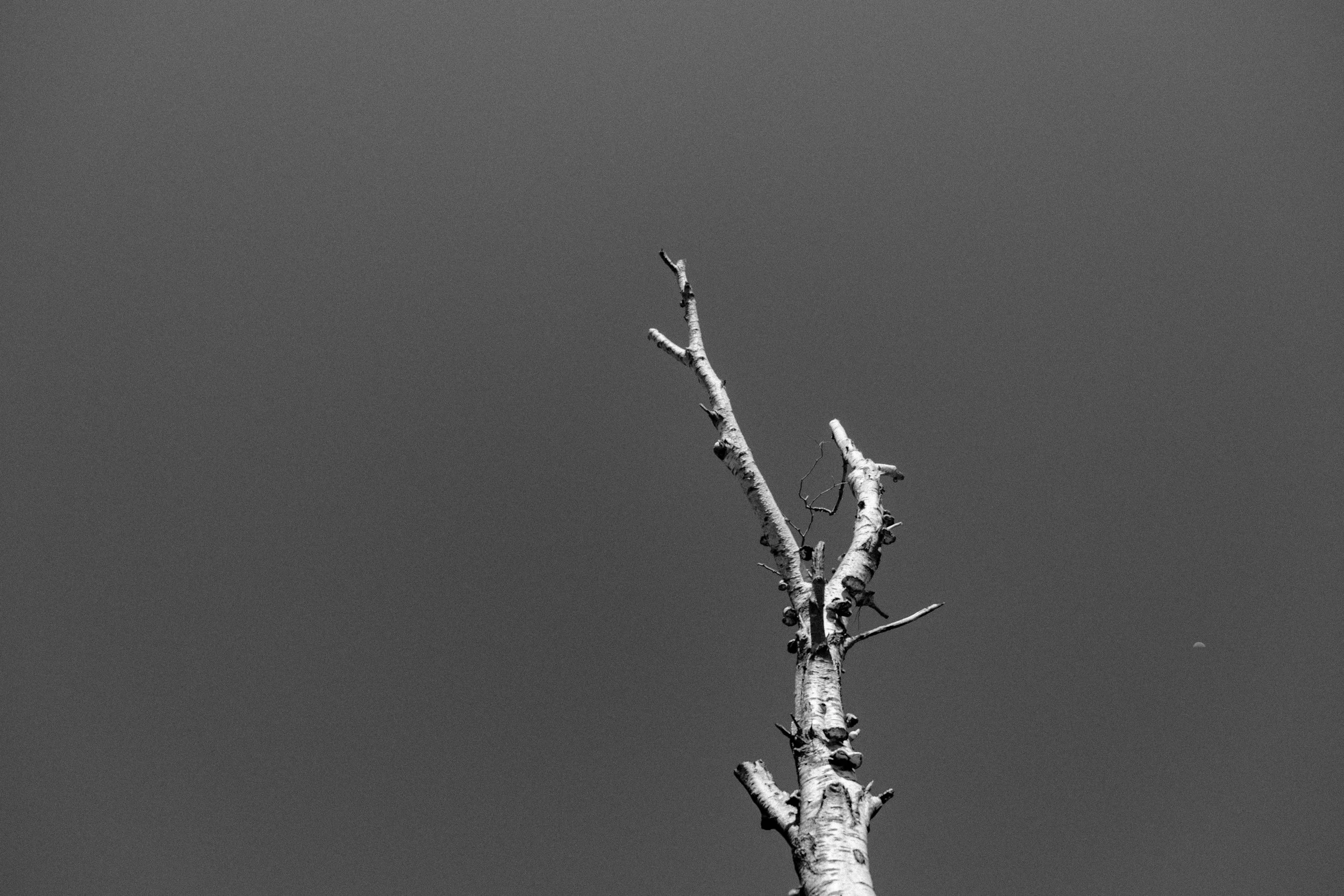 DSCF1064.jpg