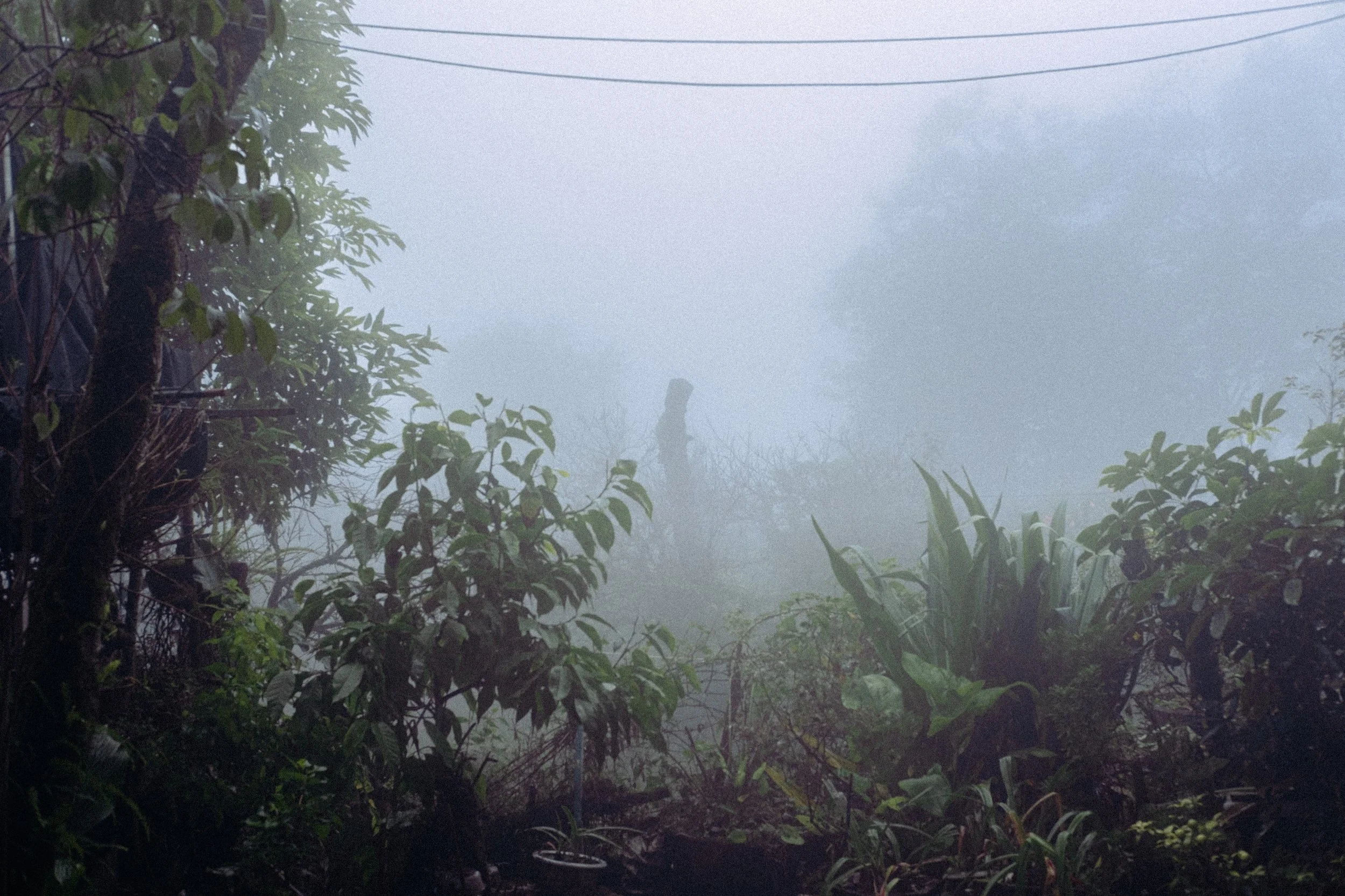 DSCF8819.jpg