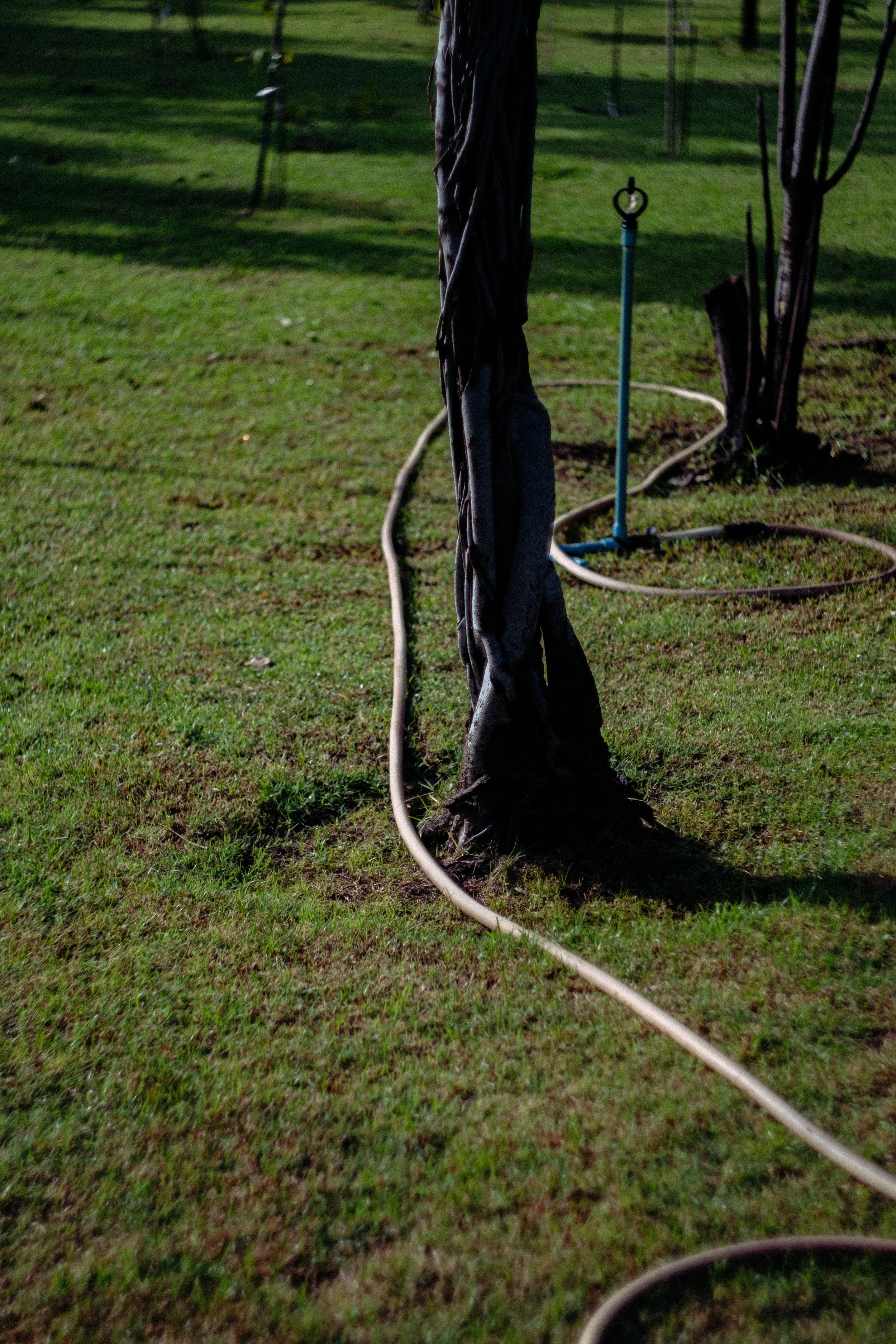 DSCF6793.jpg