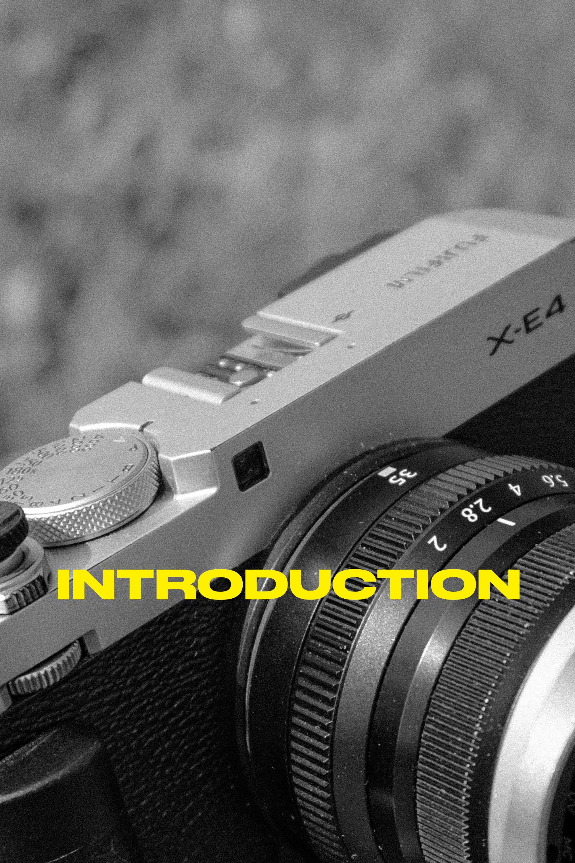 introduction.png