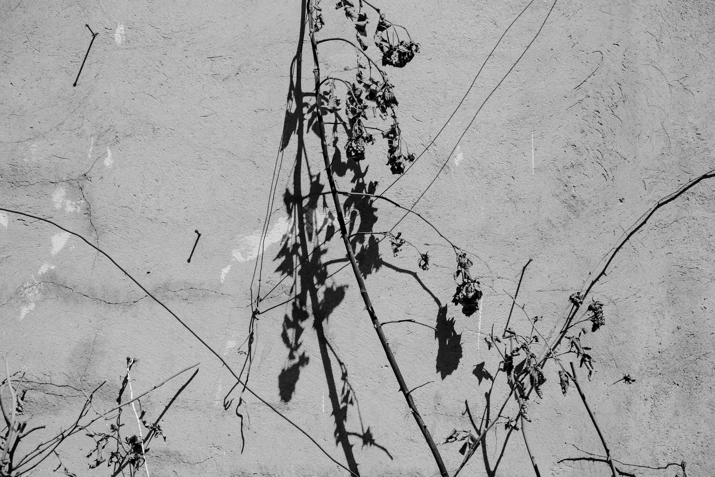 DSCF0859.jpg