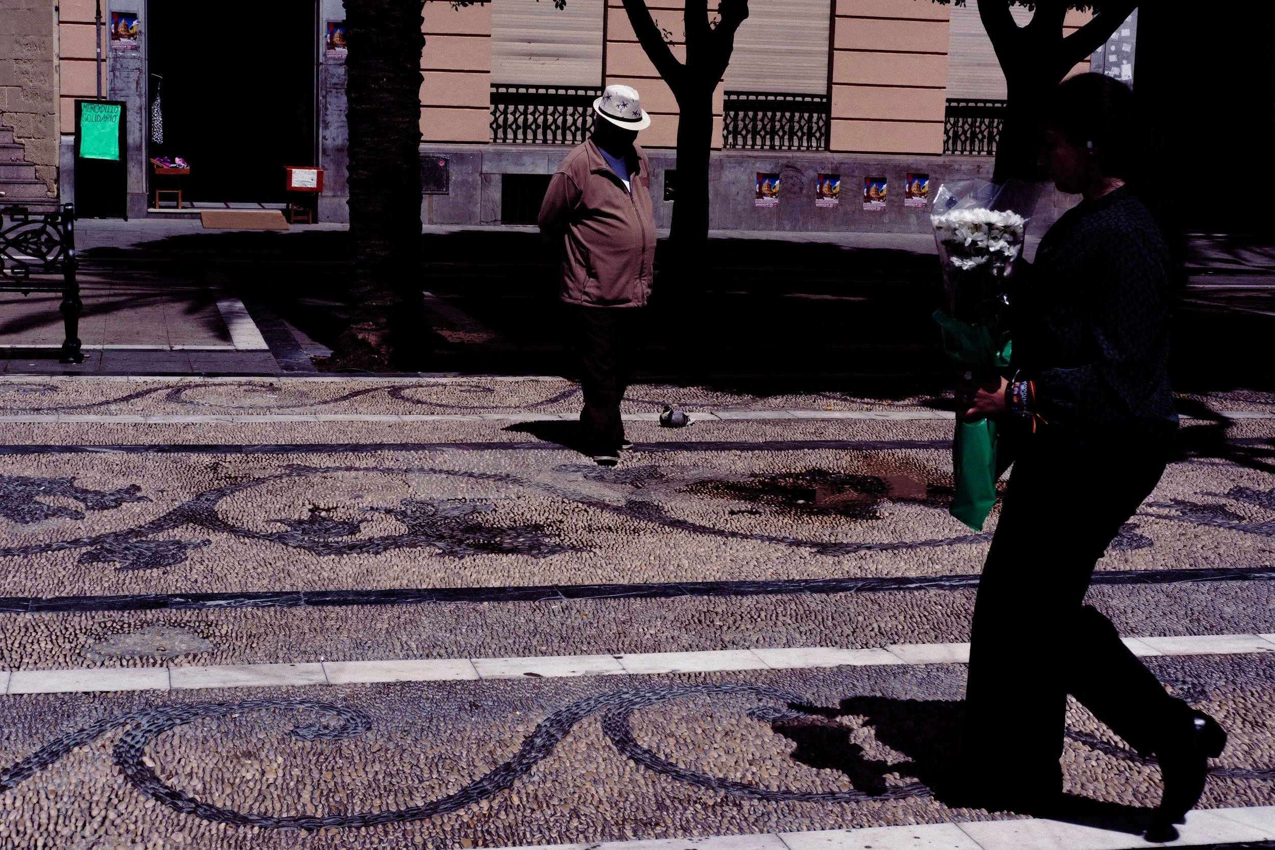 DSCF6904.jpg