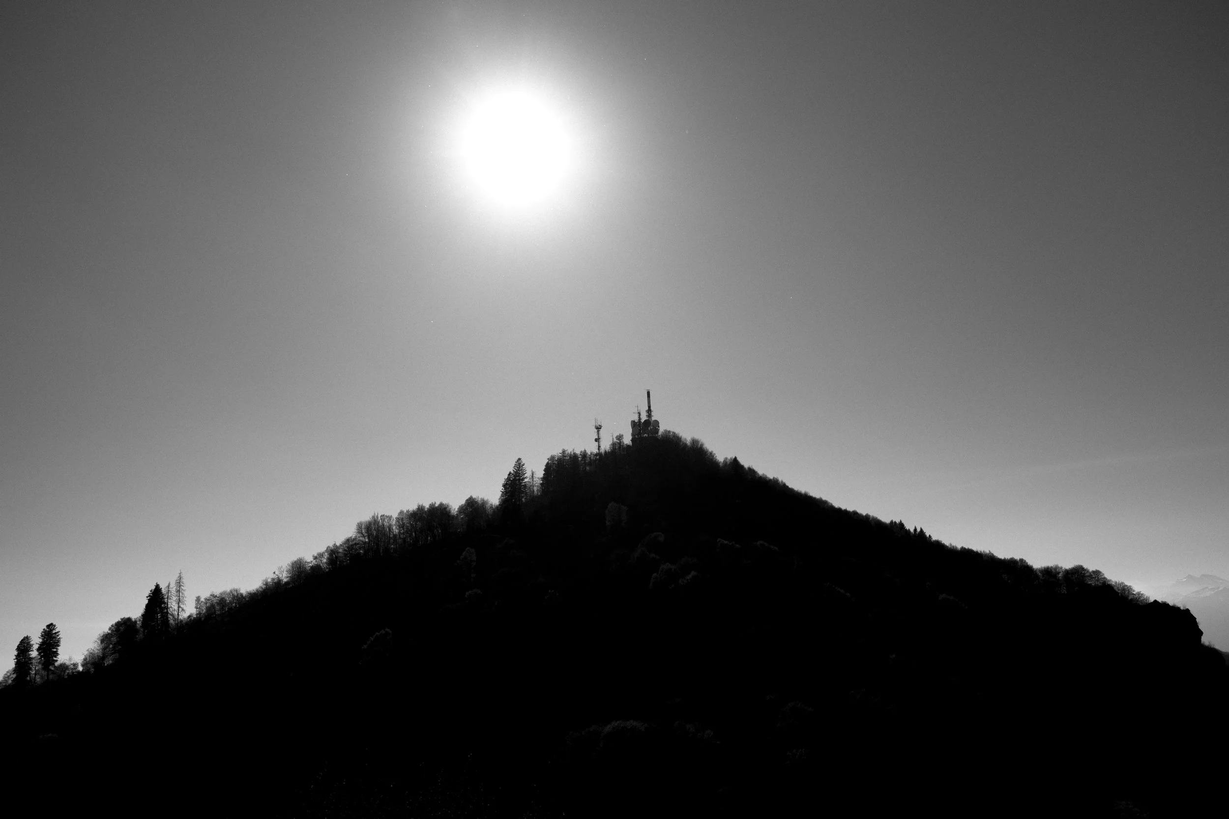 DSCF7853.jpg