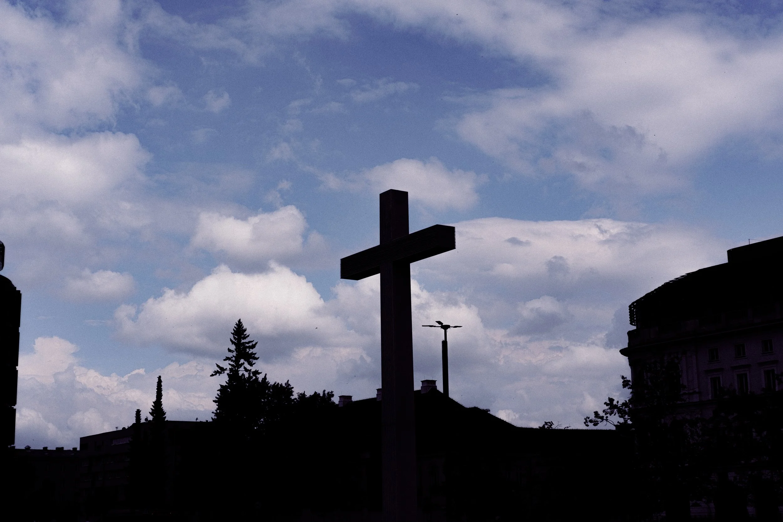 DSCF8650.jpg