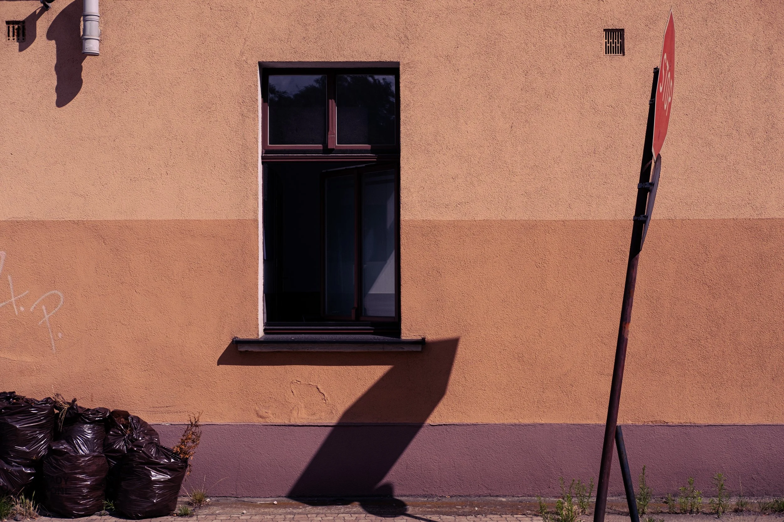 DSCF2921.jpg