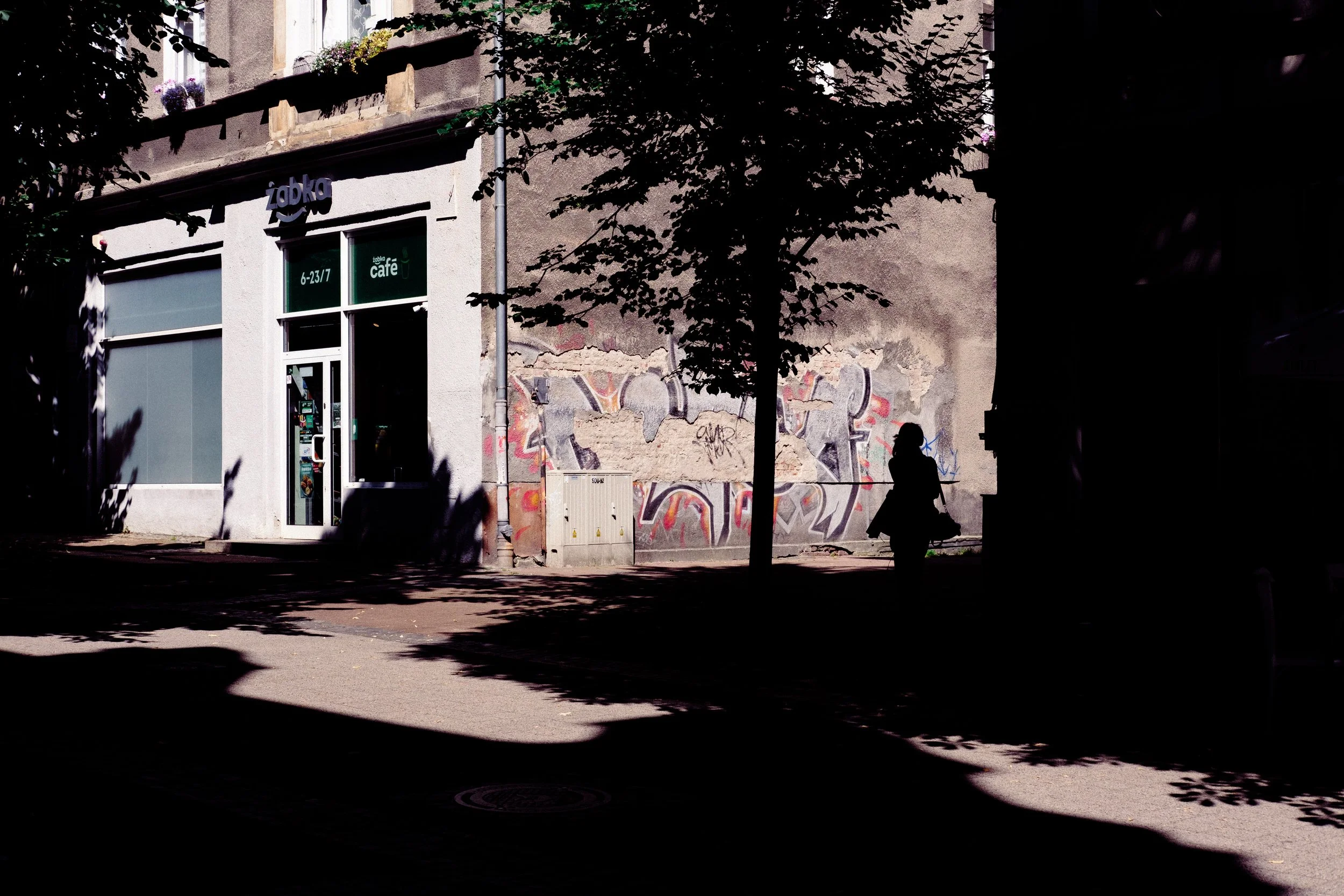 DSCF3513.jpg