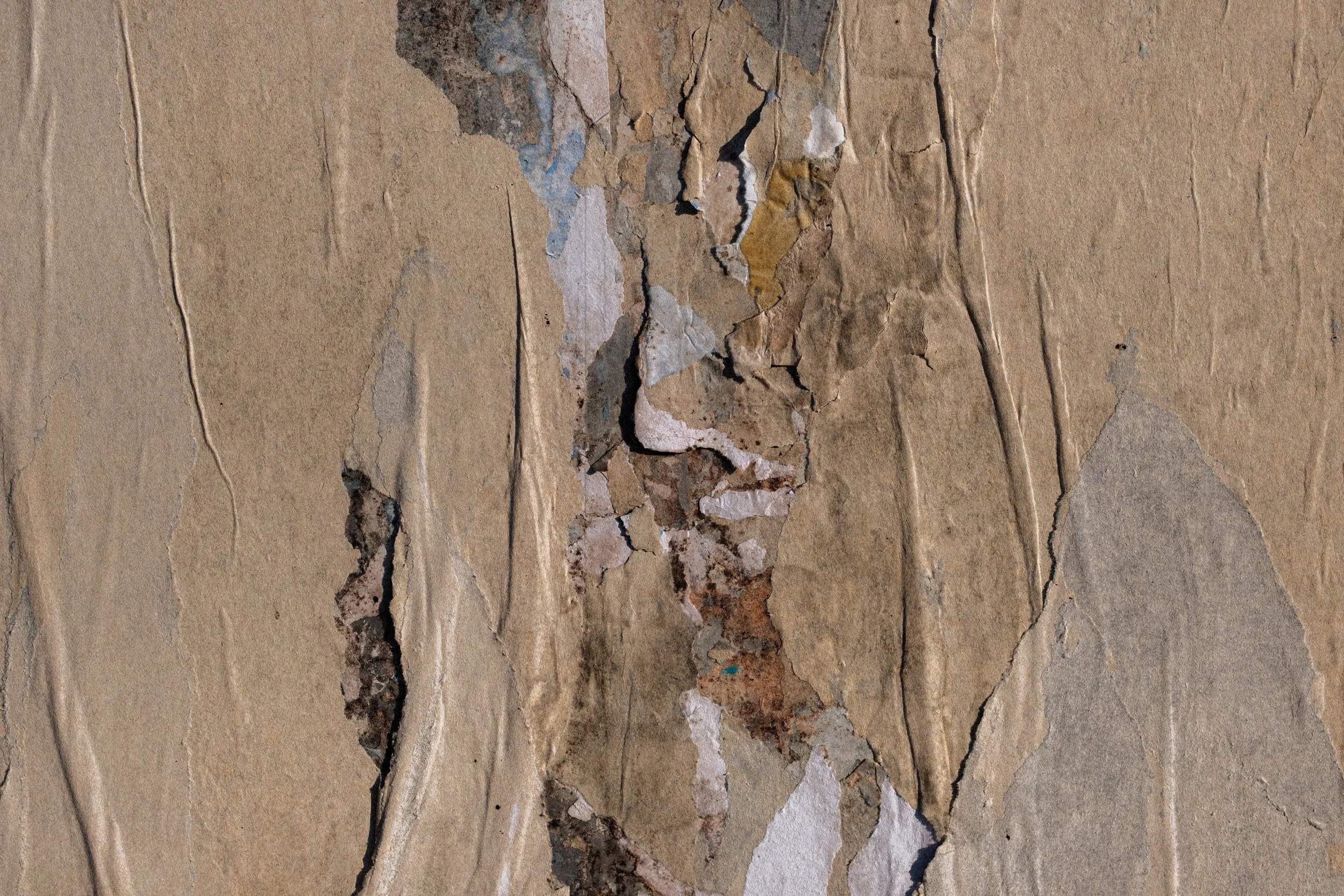 DSCF9945.jpg