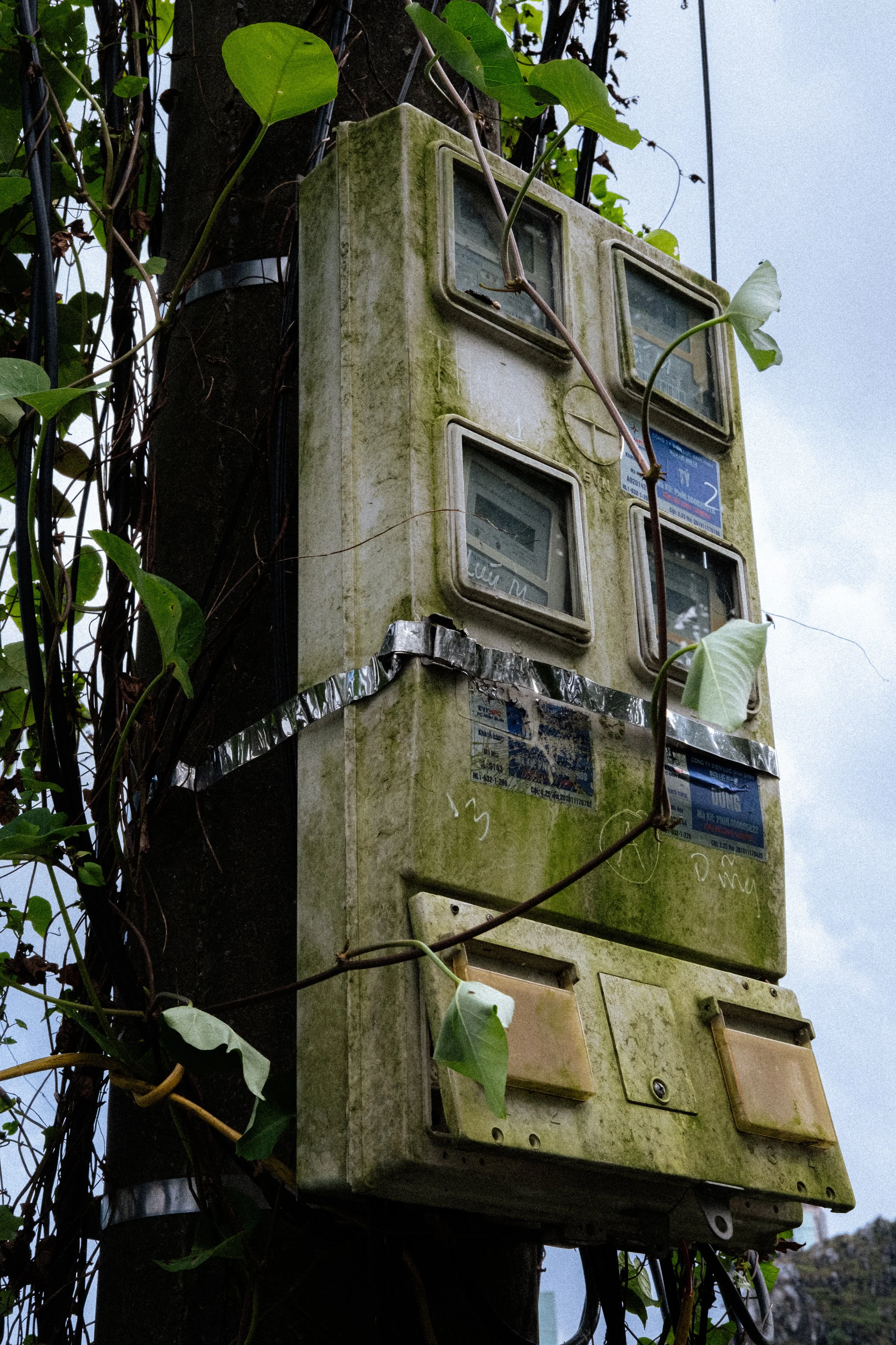 DSCF7835.jpg