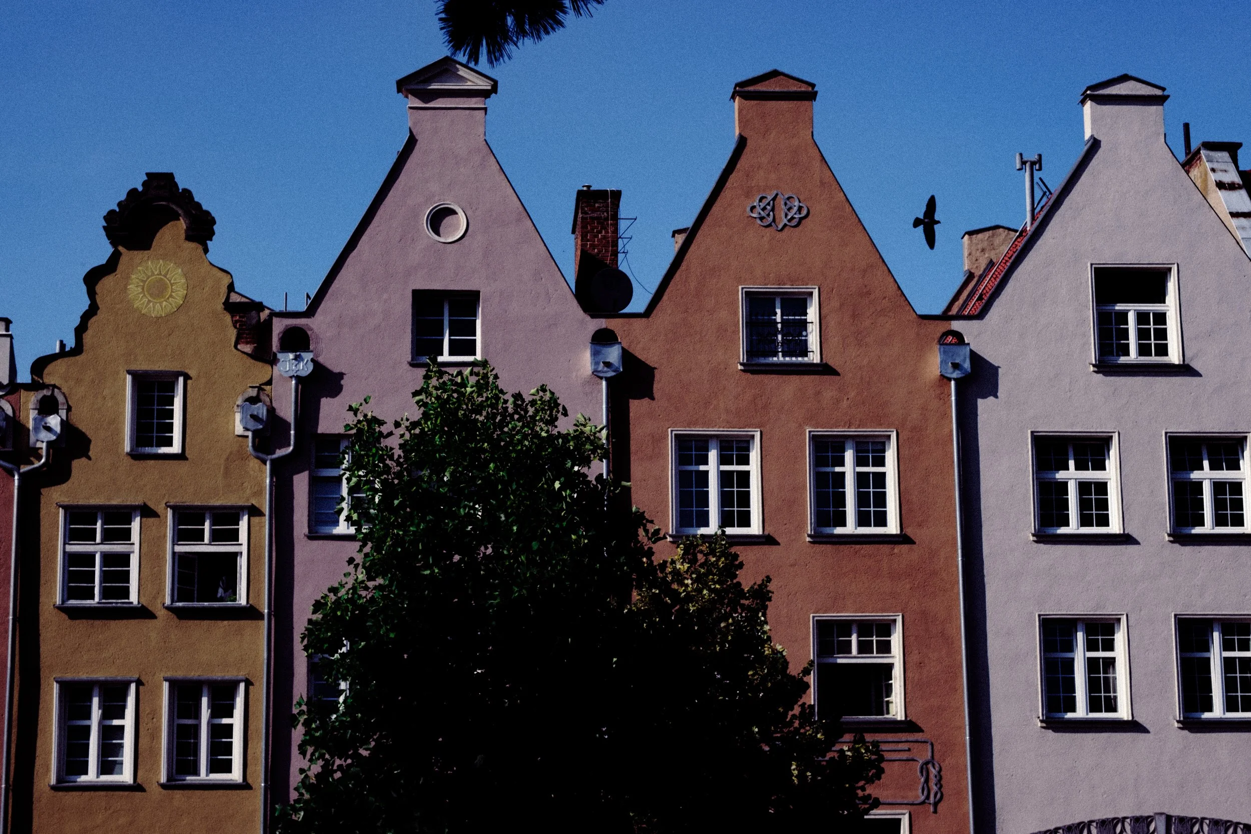 DSCF4829.jpg
