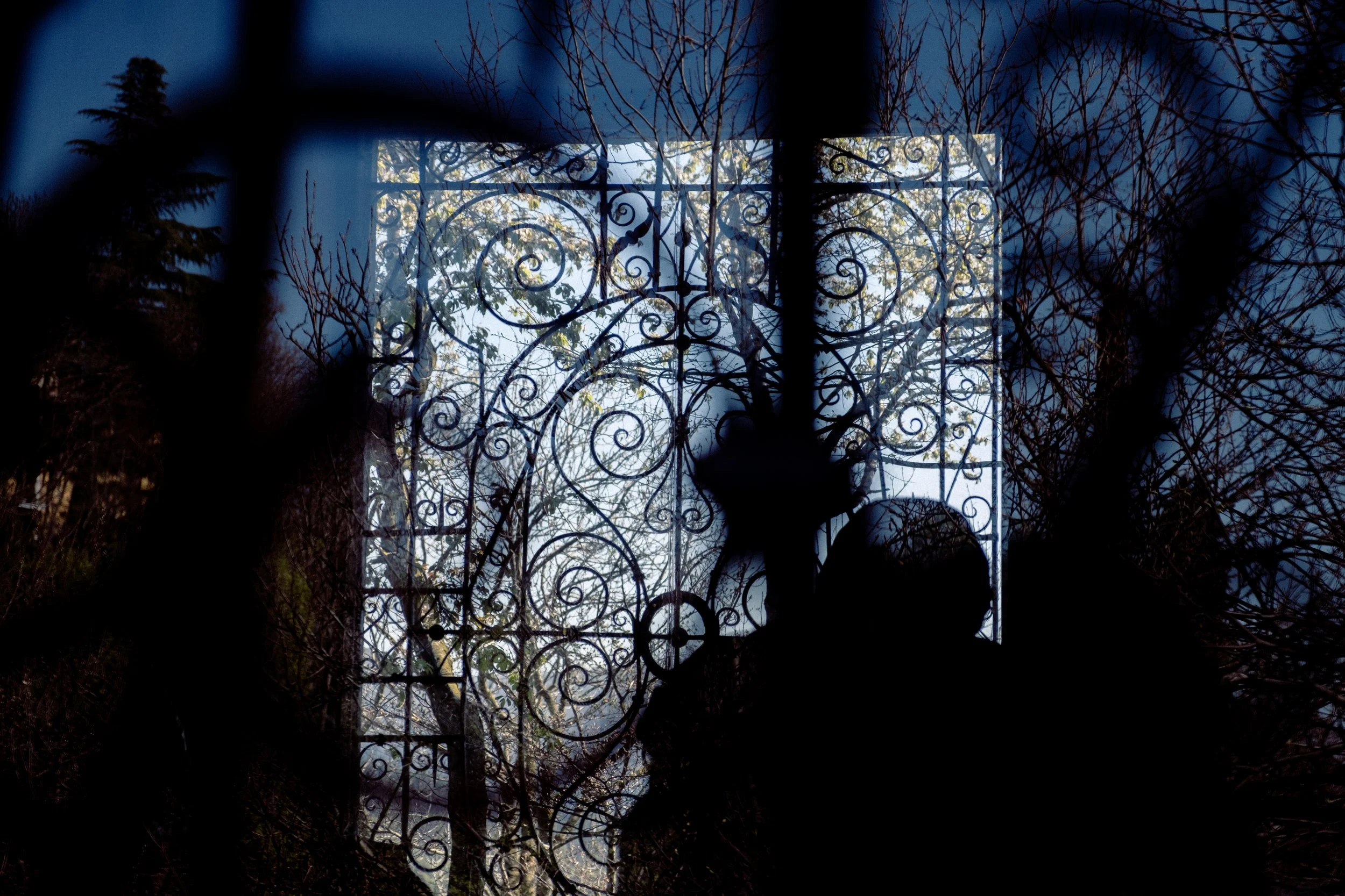 DSCF6614.jpg