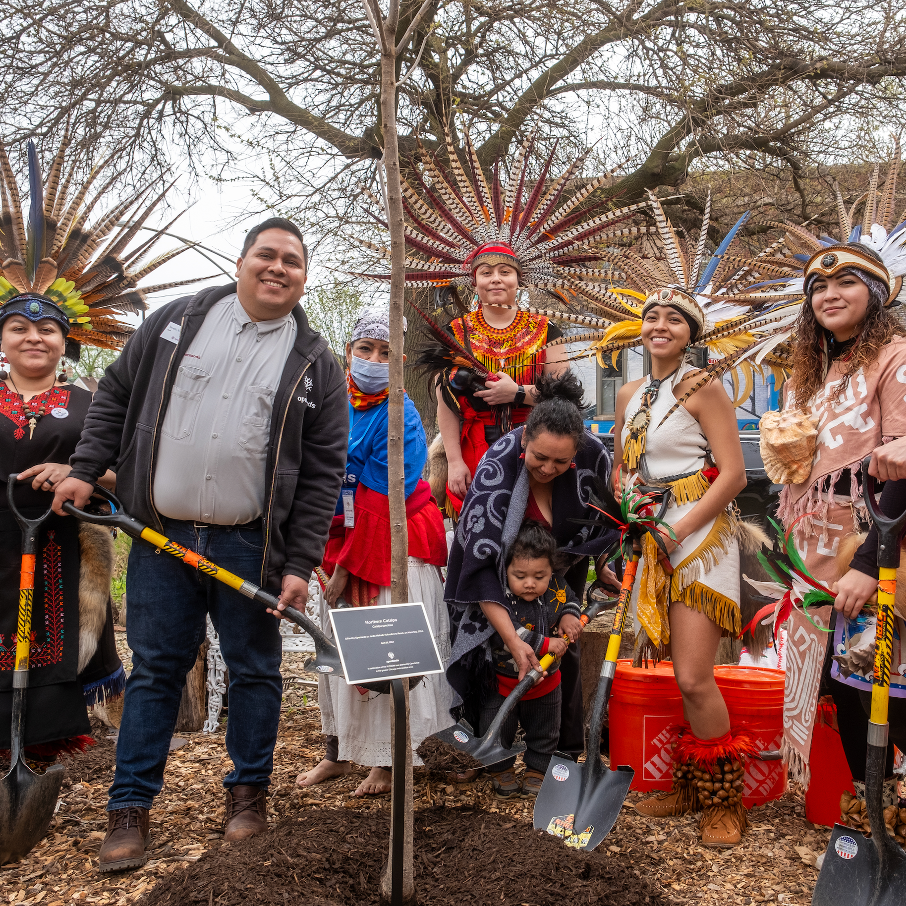 Group of people participating in a tree planting event, some wearing traditional indigenous costumes with feathered headdresses, holding shovels, in an outdoor setting with trees and a cloudy sky.