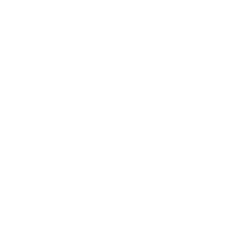 Yollocalli Arts Reach