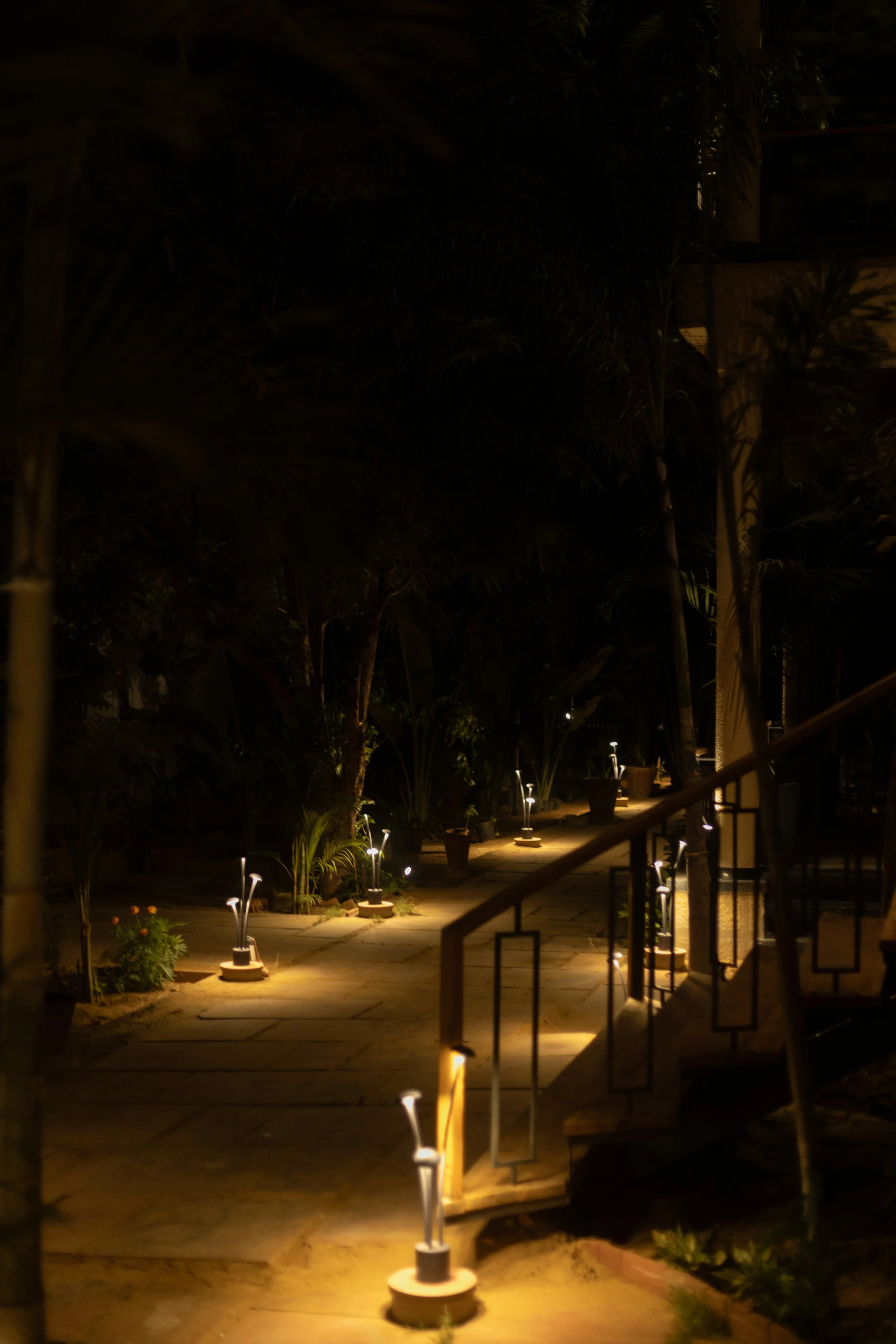 Nighttime outdoor scene with pathway illuminated by small ground lights, surrounded by plants and trees, with a staircase on the right side.