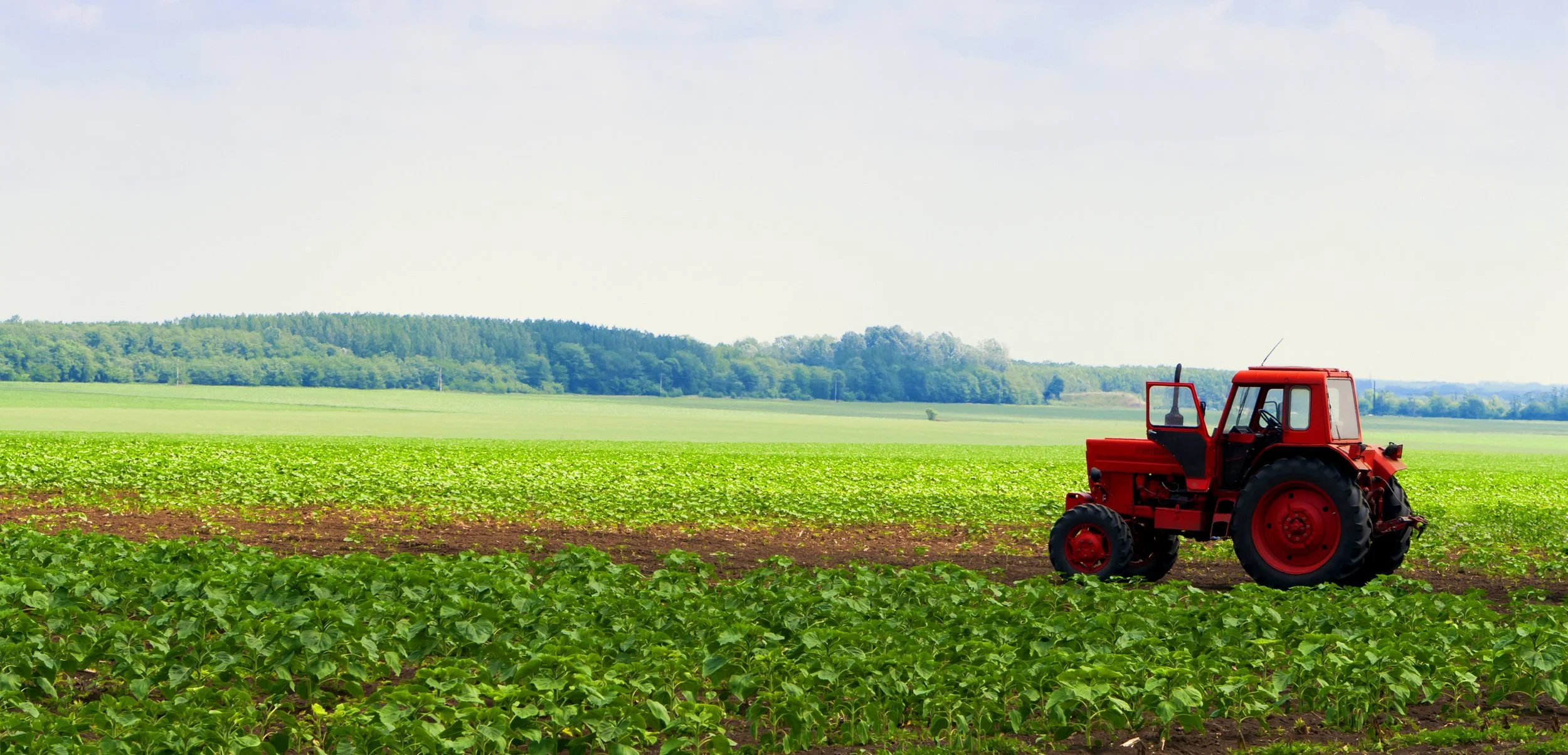 Red tractor in a farm field