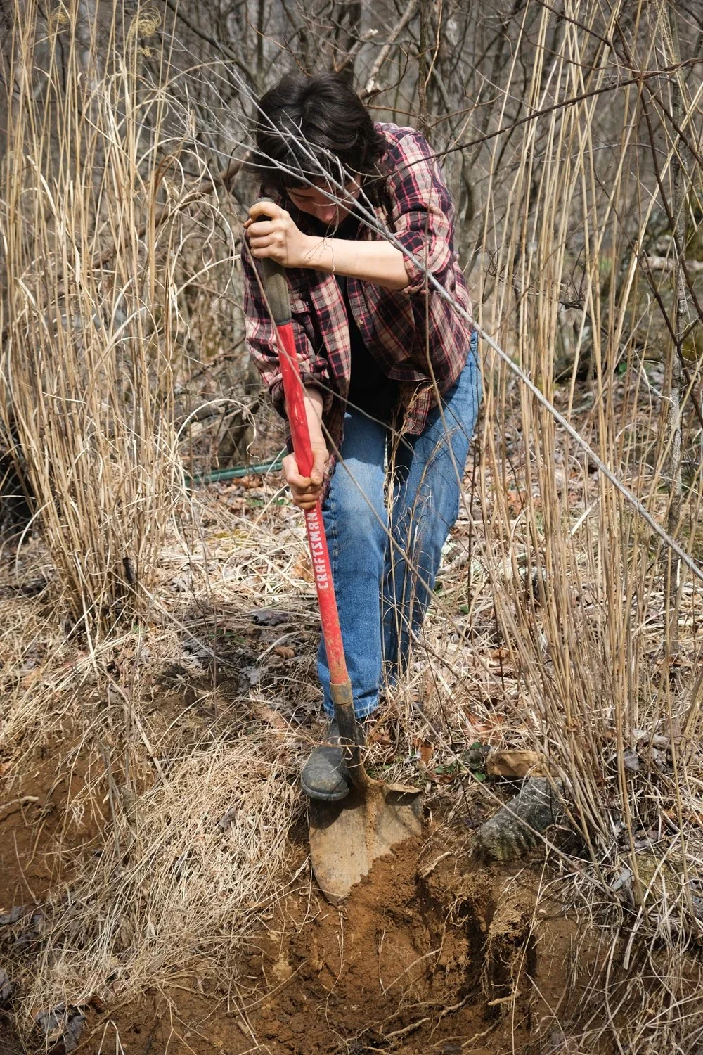 Potter Melanie Risch digging local clay.