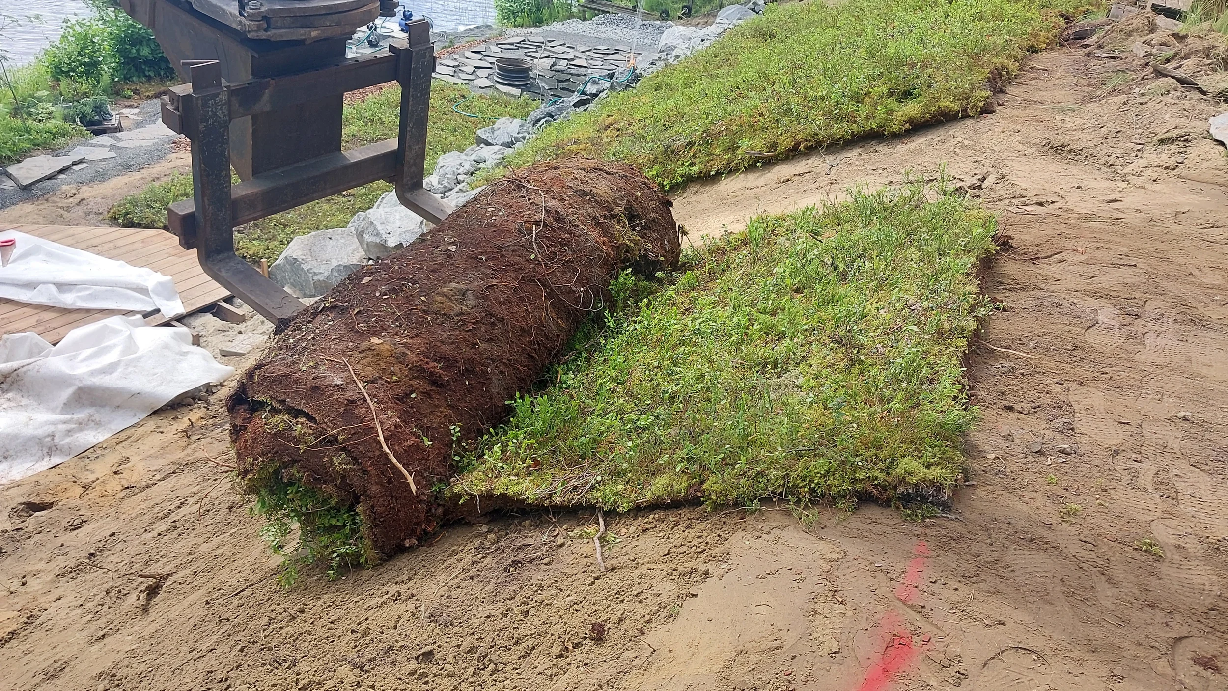 Kunttarullaa levitetään kaivinkoneen kouralla multaiseen rinteeseen.