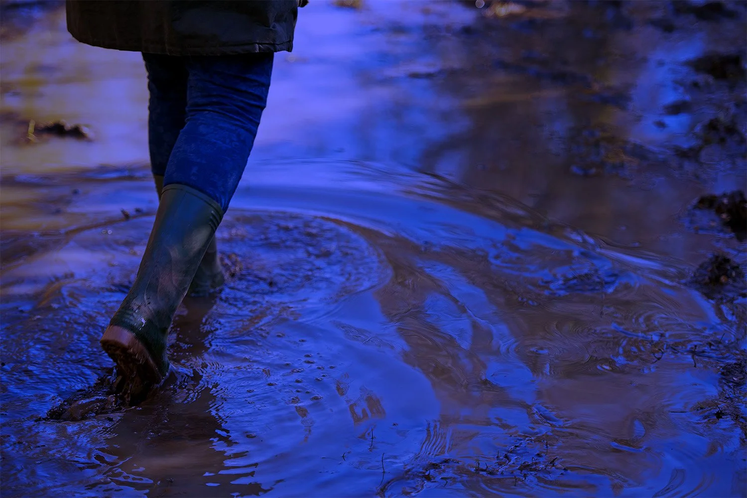 What Toll Do Natural Disasters Take On Our Mental Health