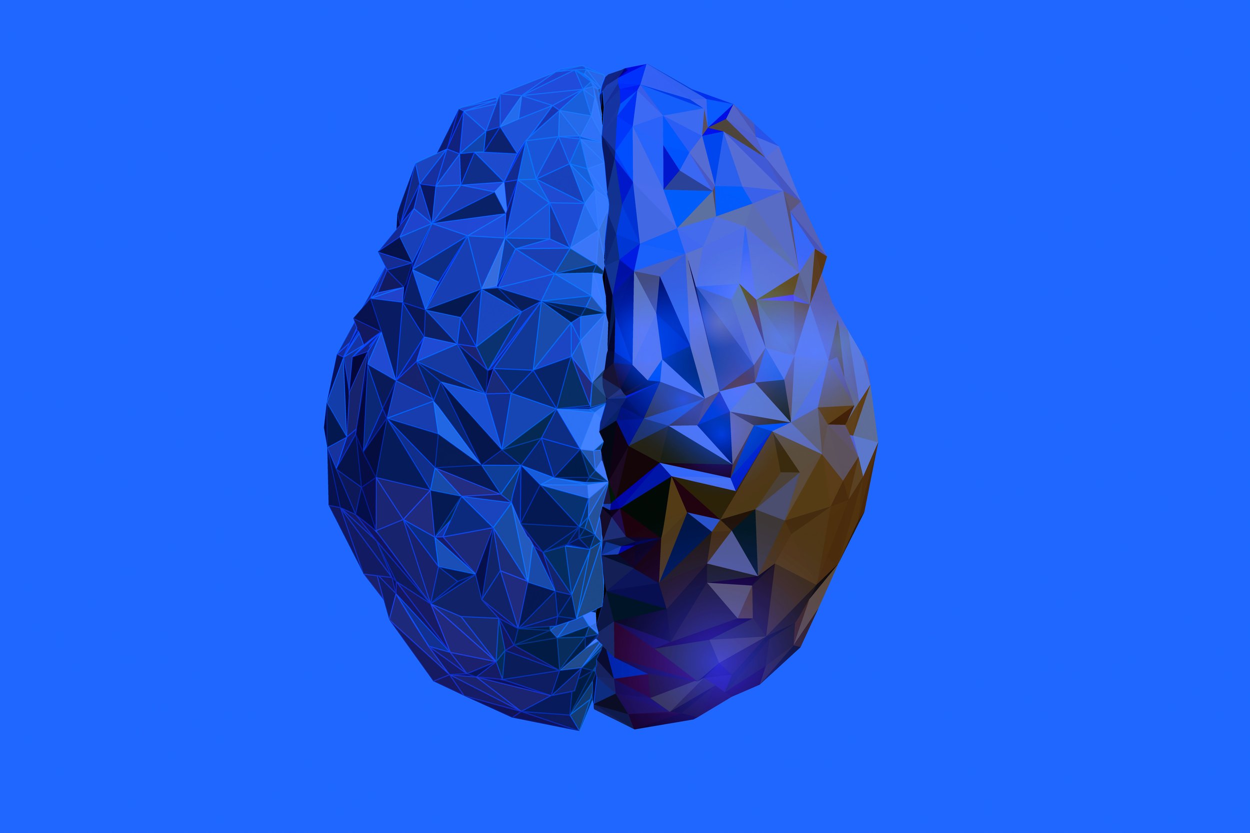 Studies Show Link Between Traumatic Brain Injury &amp; Mental Health Disorders