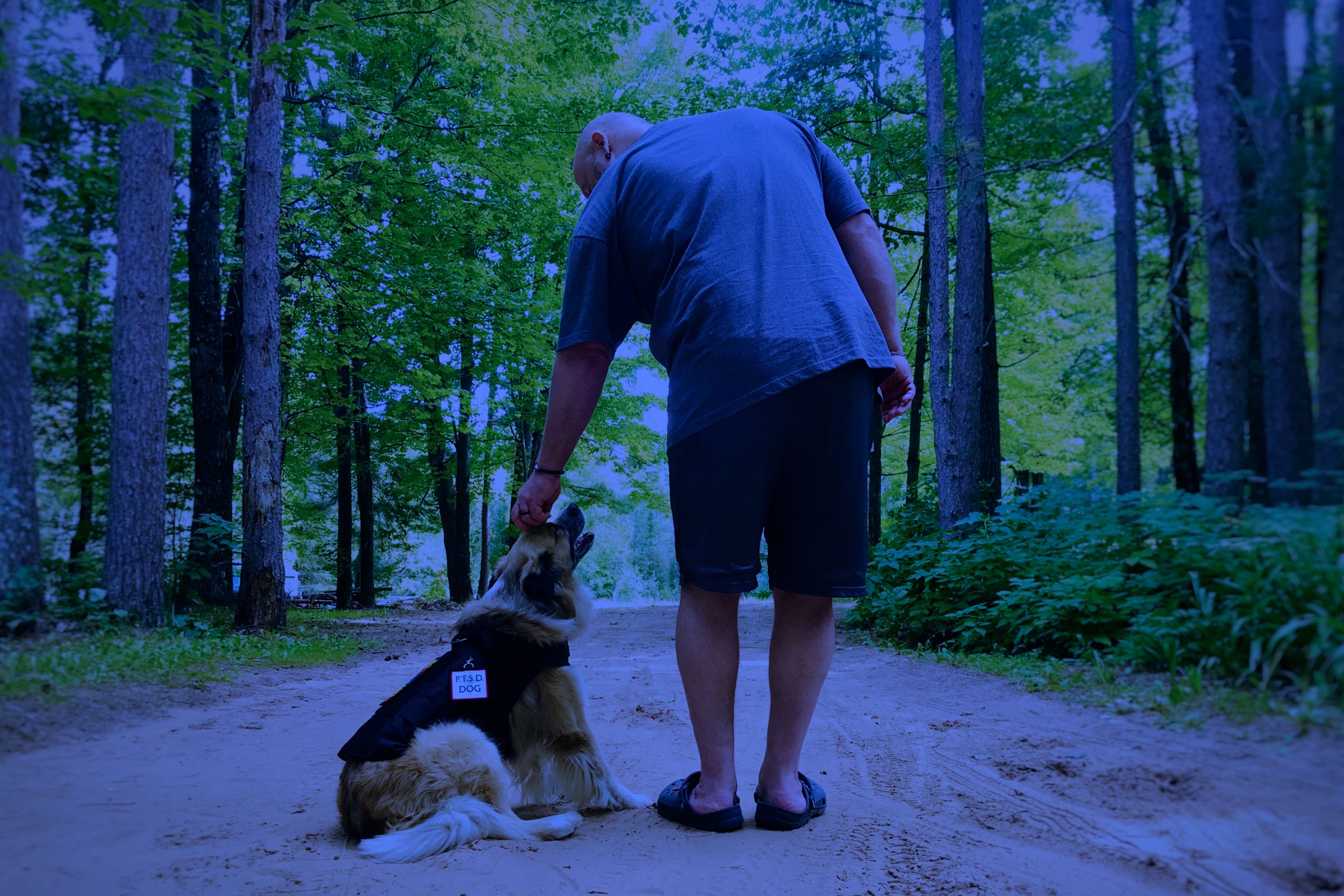 Understanding Post-Traumatic Stress Disorder (PTSD)
