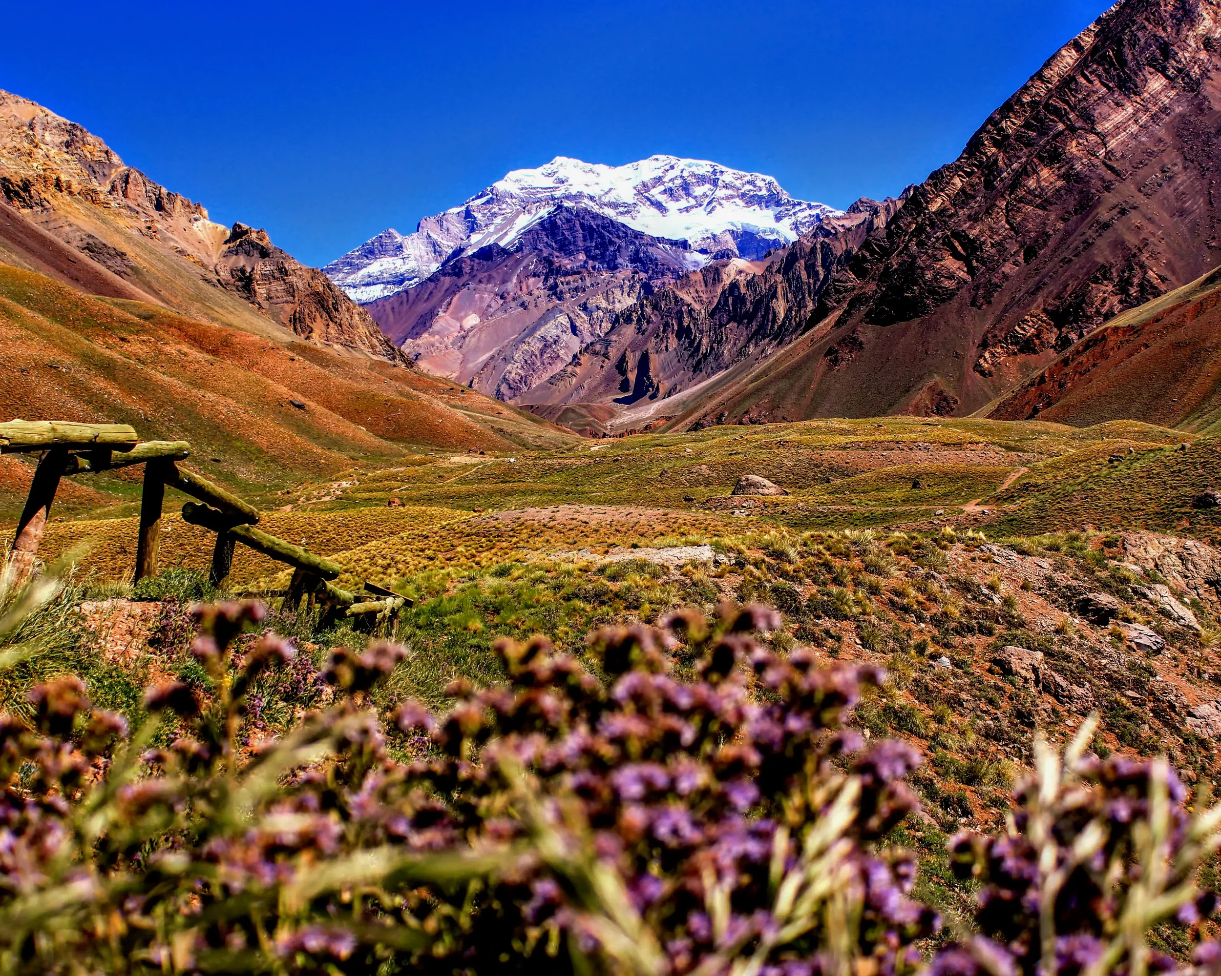 Essentials: Argentina