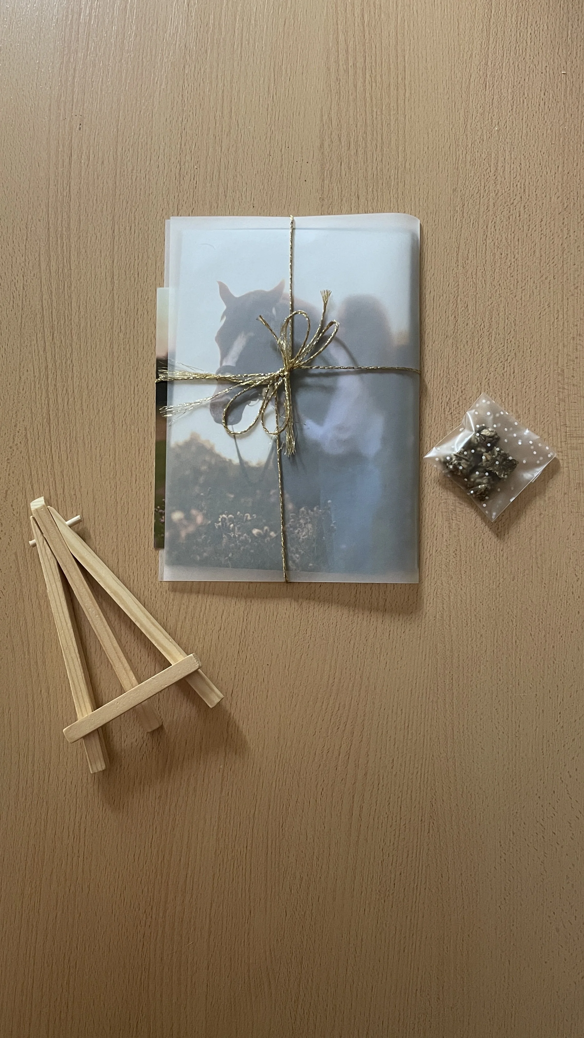 Un paque de tirages photo avec un cheval dans une pochette protectrice et liés par un ruban doré, placé sur une surface en bois, accompagné de petits objets décoratifs comme un mini chevalet en bois et un sac de petites friandises pour chevaux.