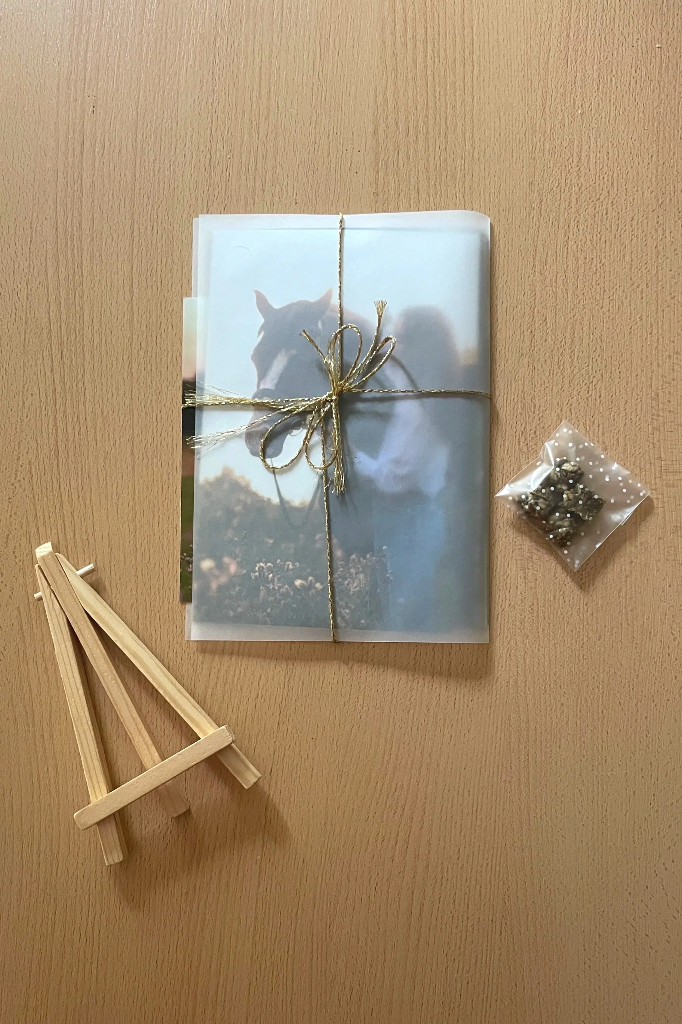 Un paque de tirages photo avec un cheval dans une pochette protectrice et liés par un ruban doré, placé sur une surface en bois, accompagné de petits objets décoratifs comme un mini chevalet en bois et un sac de petites friandises pour chevaux.