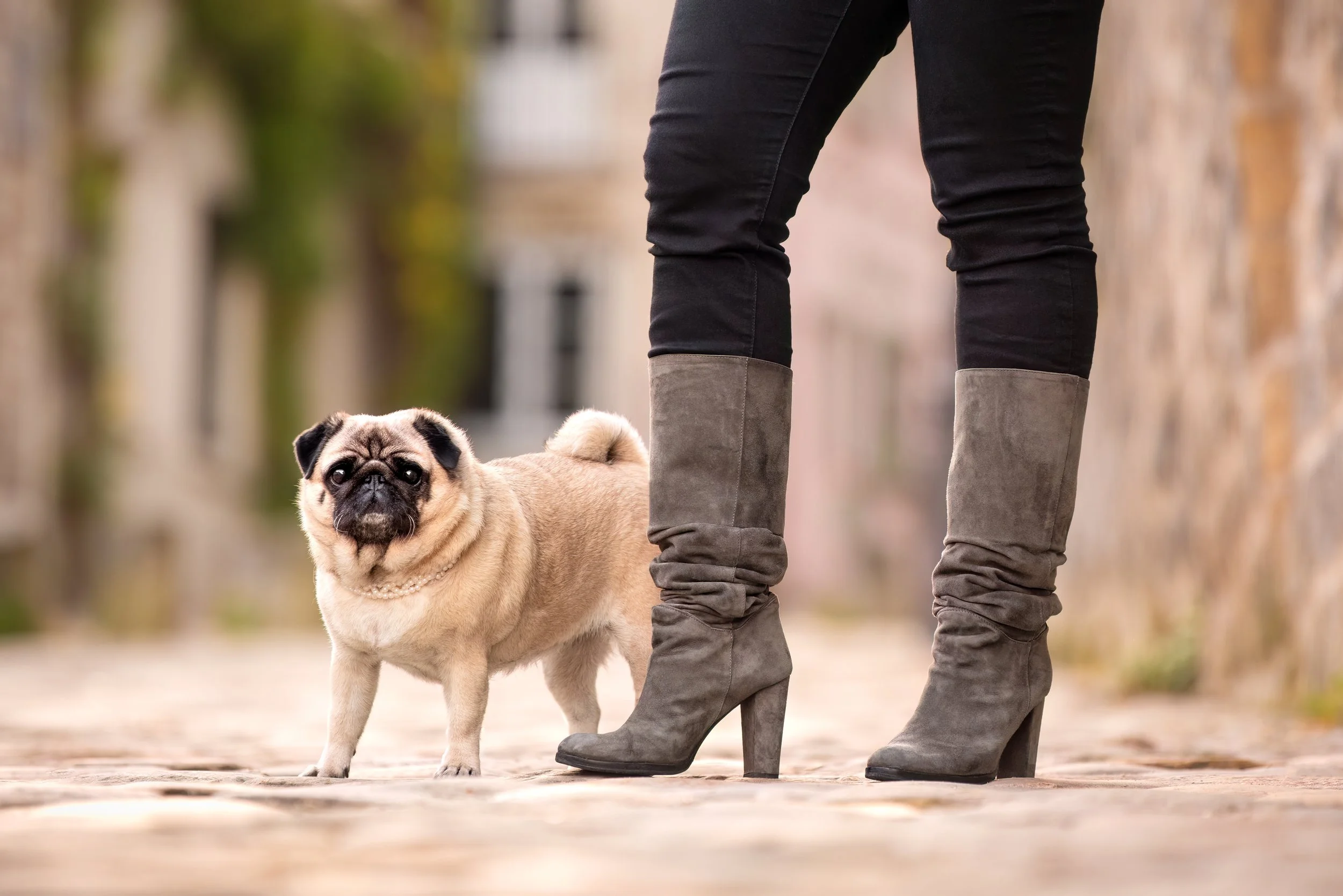 Freddie Fine Art-5.jpg