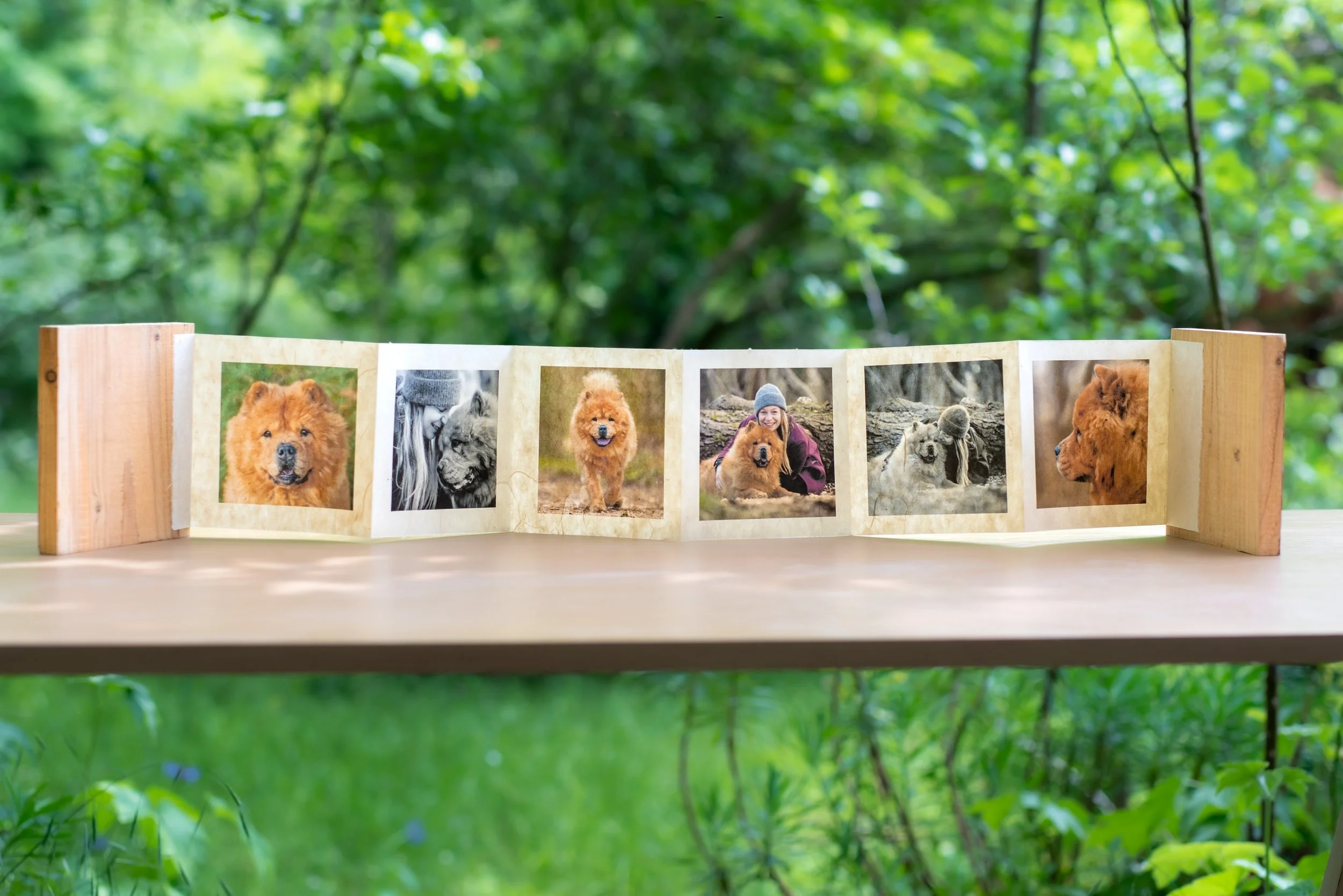 Livre leporello washi