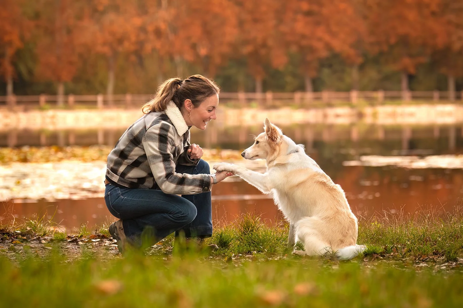 Une femme souriante joue avec un chien border collie blanc et beige près d'un lac en automne, qui lui donne la patte. 